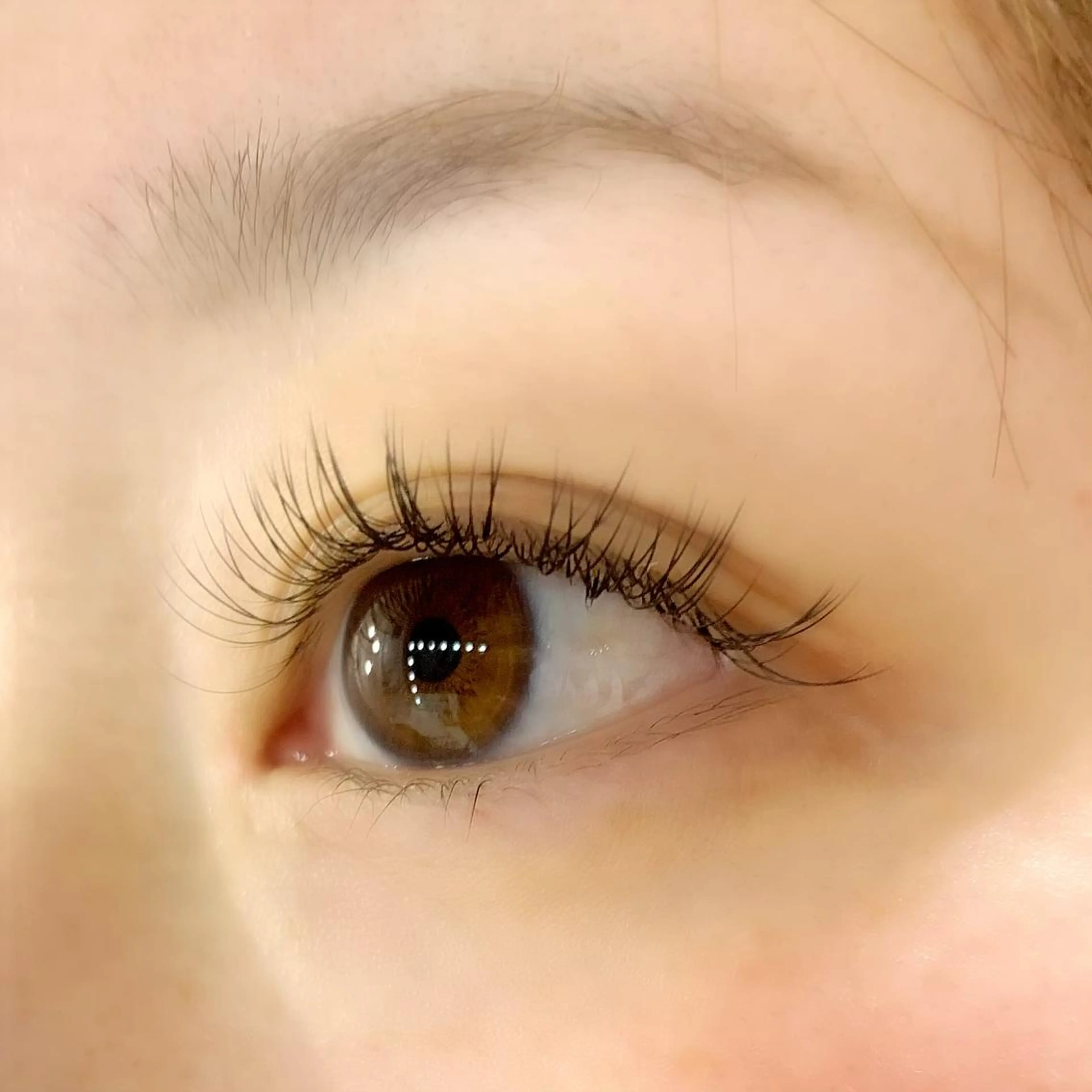 マツエク・マツパ 韓国風マツエク マツエク Celeste Venus所属・🧸Celeste Venusのマツエク・マツパデザイン