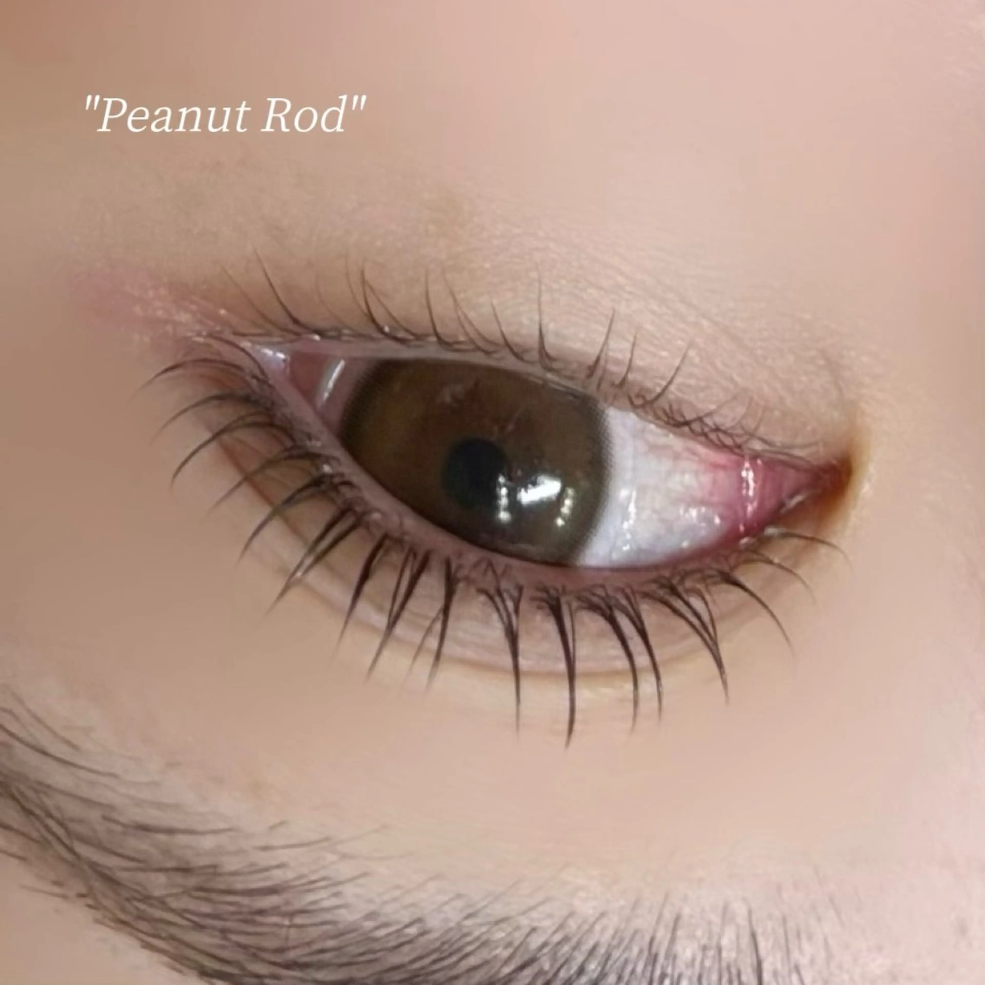 マツエク・マツパ 下まつげエクステ 一重×まつ毛パーマ マツパ enon所属・enon Sakiのマツエク・マツパデザイン