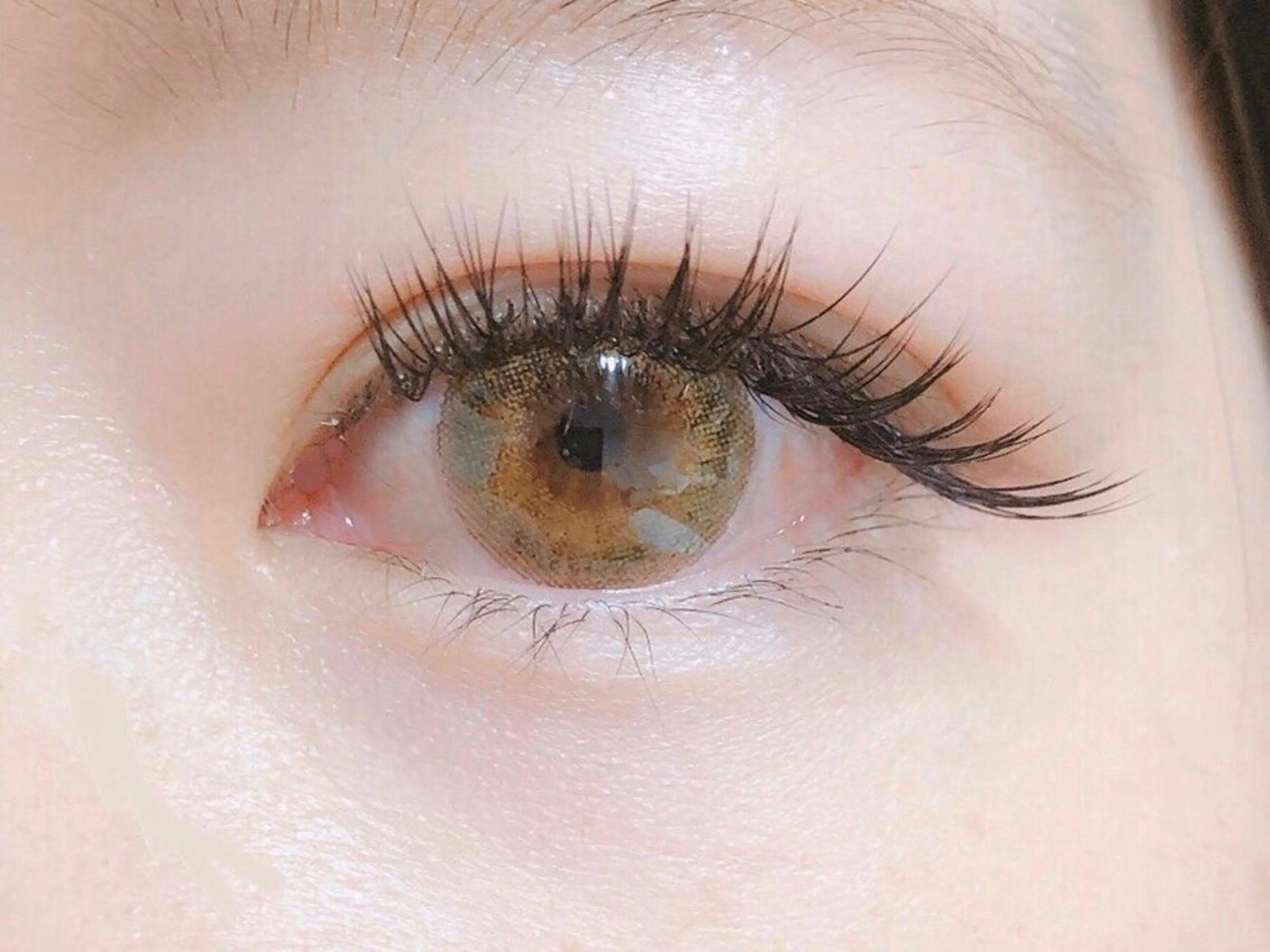 マツエク/シングルorフラットor3Dラッシュ(両目~140本まで)の写真