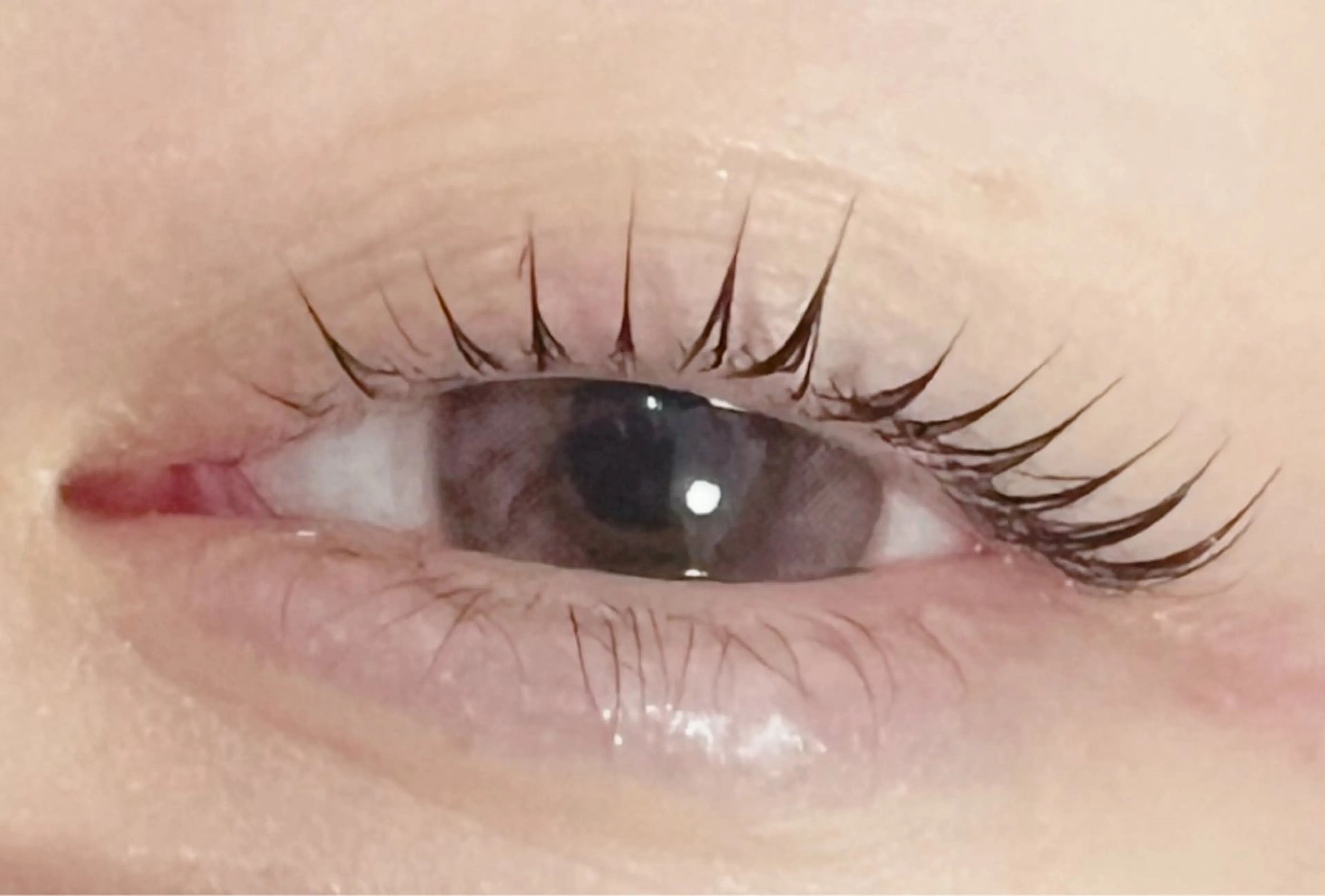 マツエク・マツパ ケラチンラッシュリフト マツパ lepo 川越 arisaのマツエク・マツパデザイン