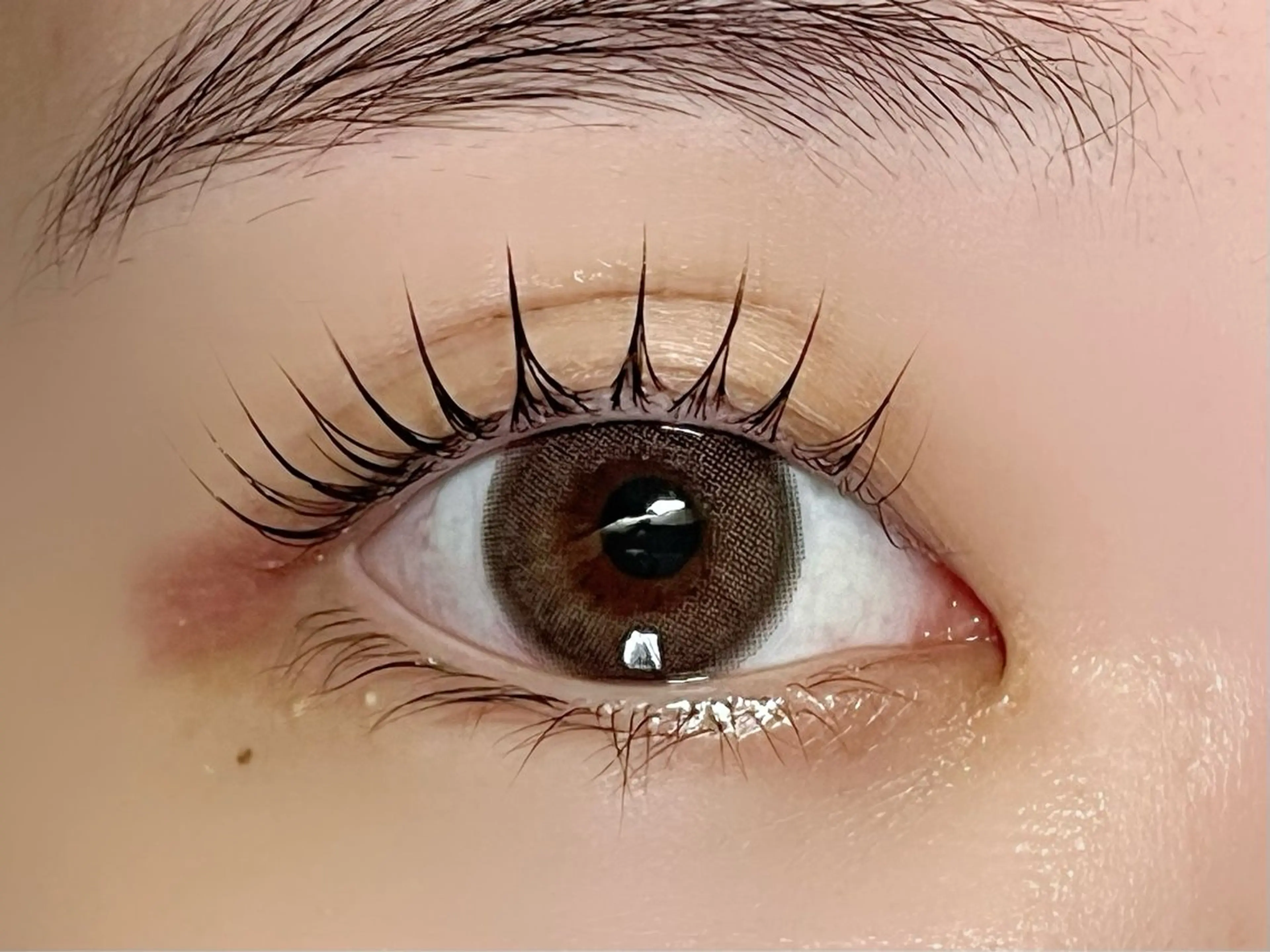 マツエク・マツパ マツパ Rinto/ makoのマツエク・マツパデザイン