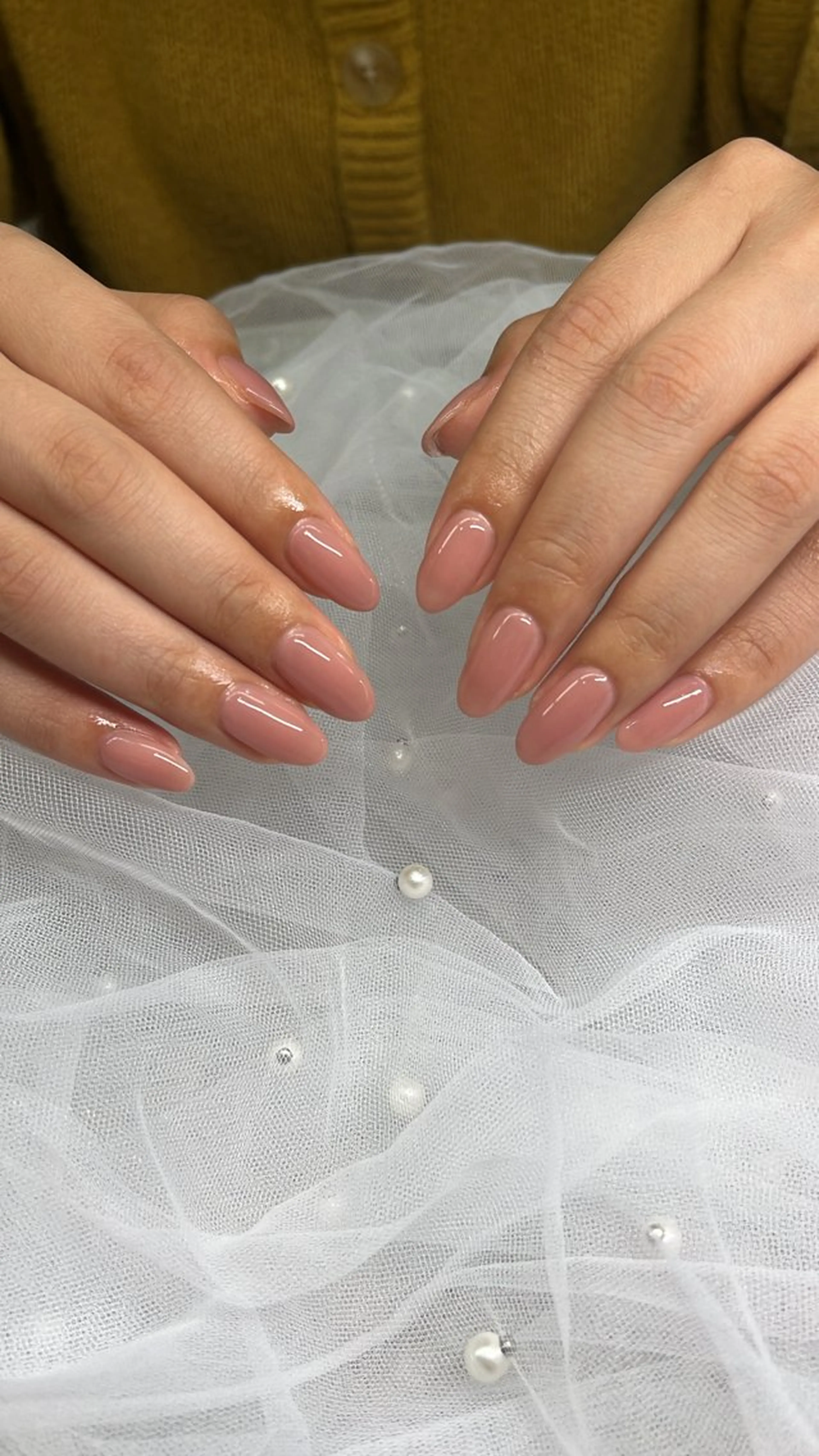 クリア・ワンカラーの写真