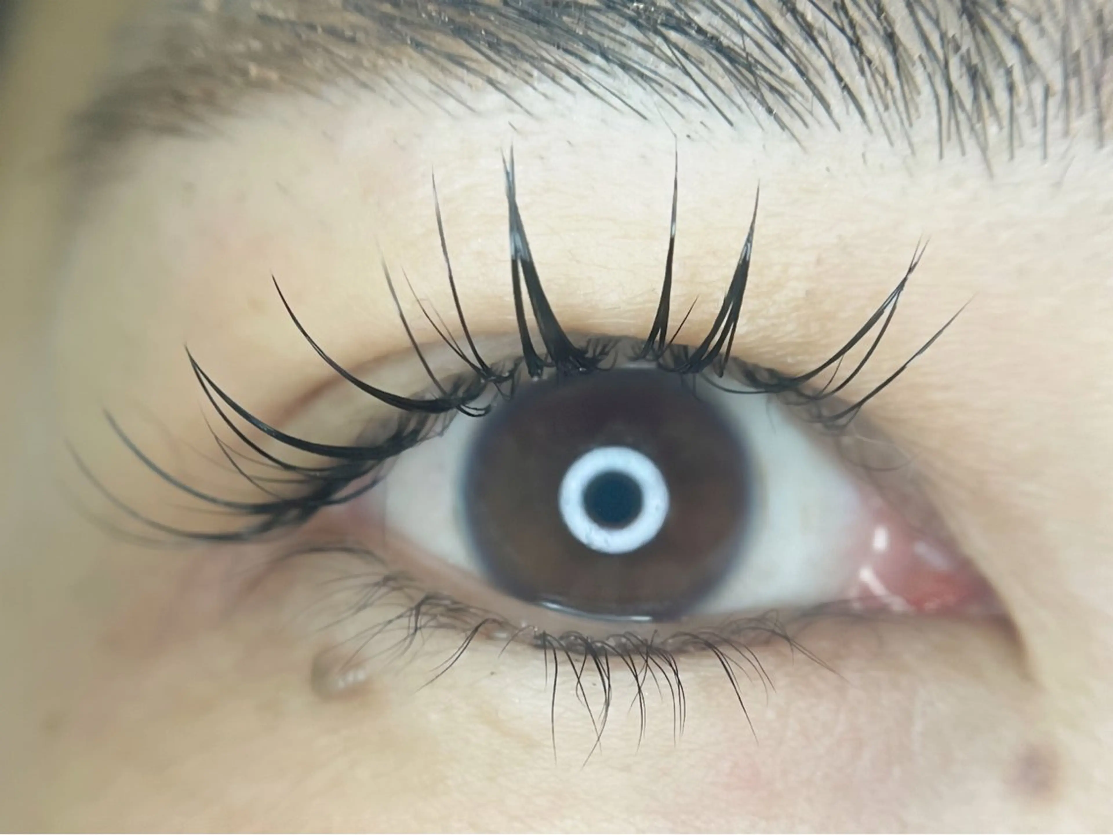 マツエク・マツパ まつげパーマ マツパ irie hair &　eyelash所属・irie(ｱｲﾘｰ) hair&eyeのマツエク・マツパデザイン