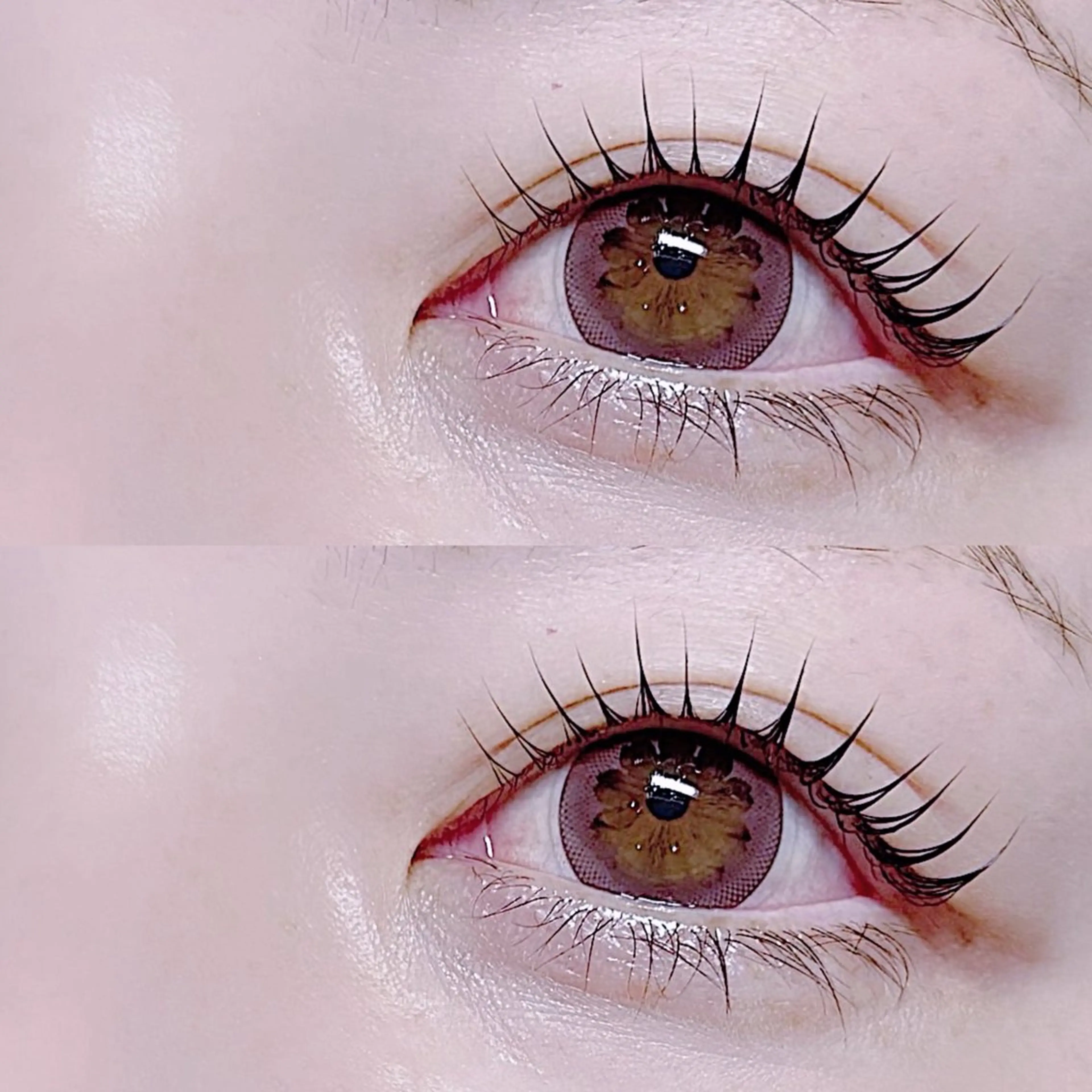 【当日限定】【韓国風束感】まつげパーマ《うるつやコーティング》の写真