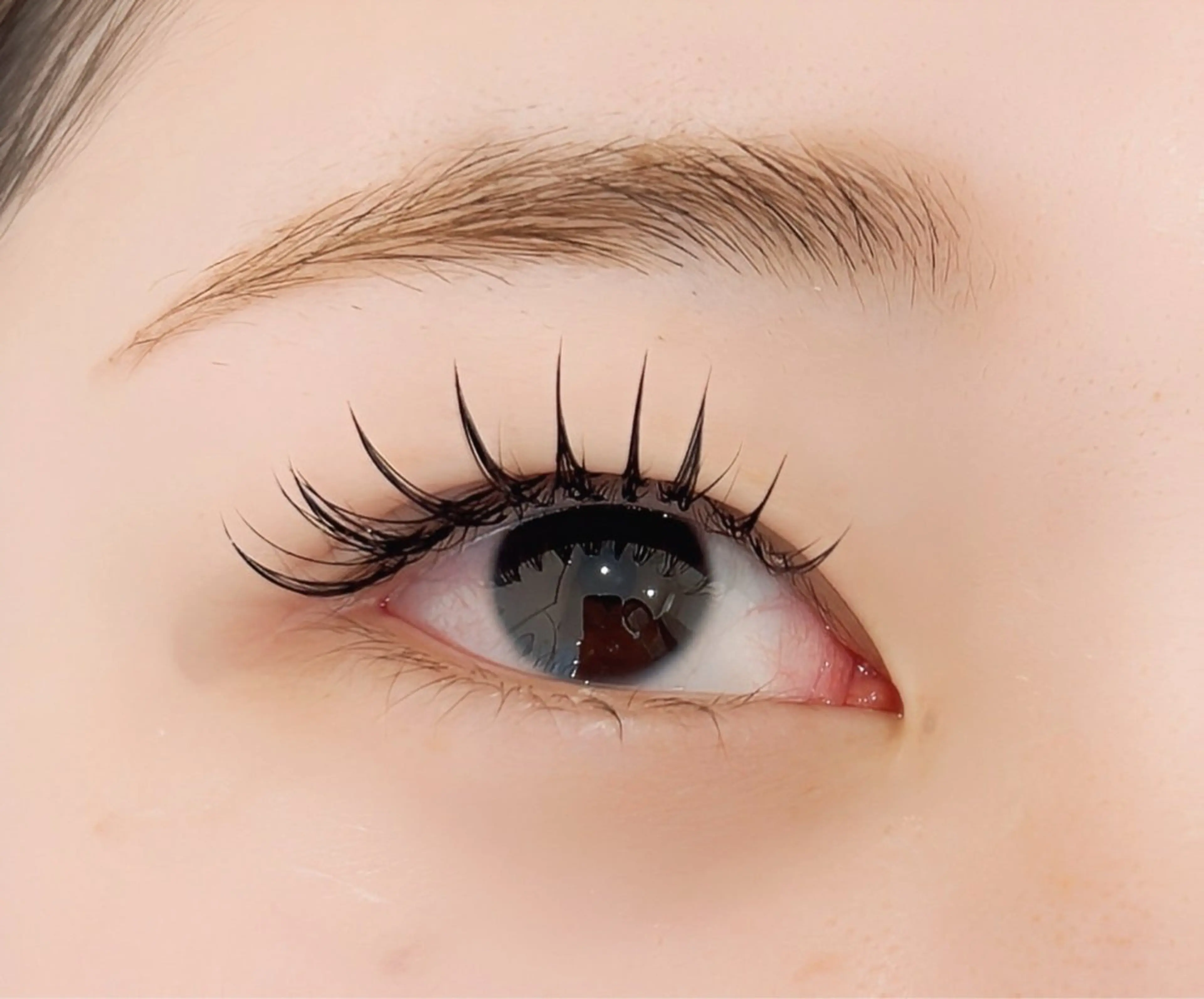 フラットラッシュ120本　オフ込み/仕上げトリートメントコーティング付の写真