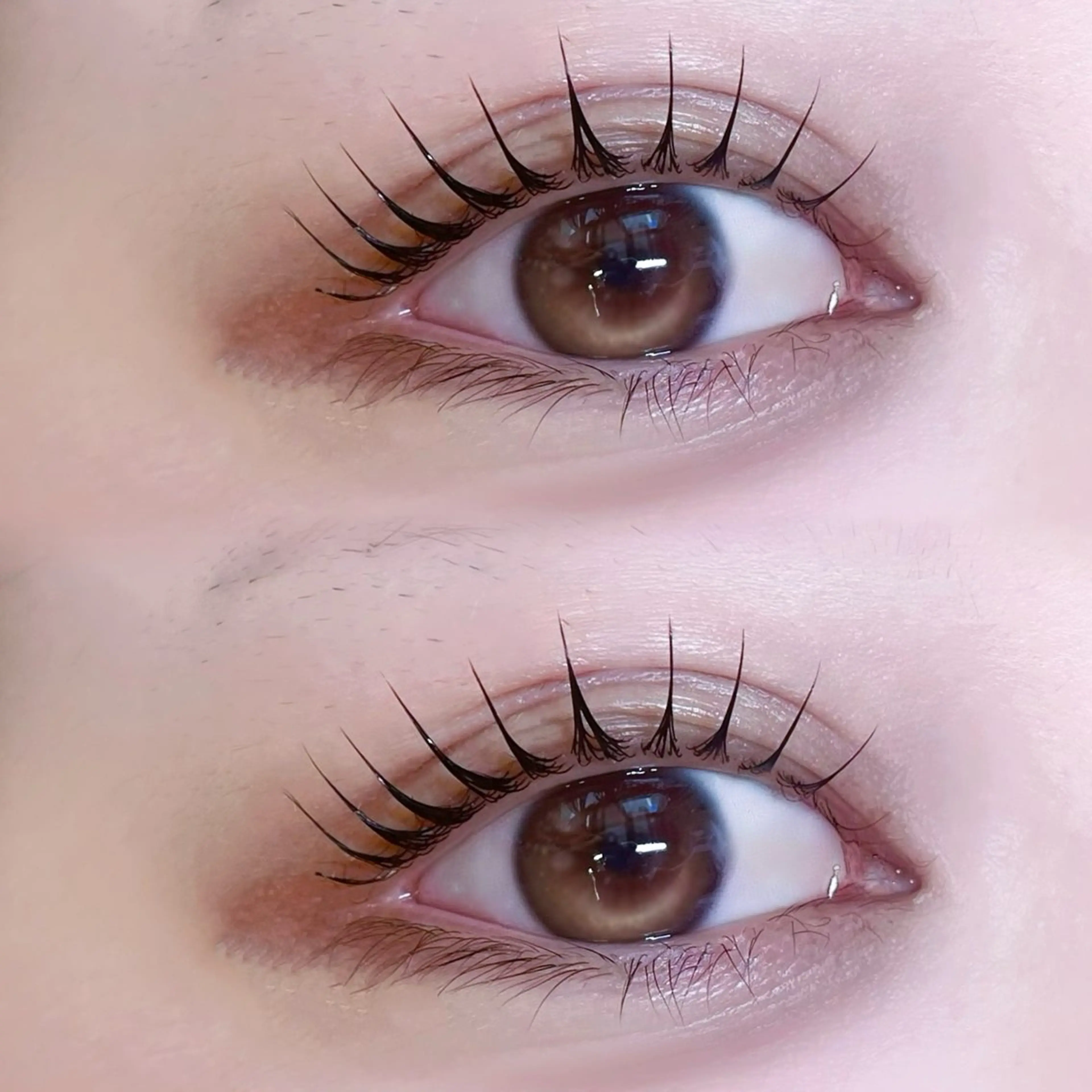 【パリジェンヌ】パリジェンヌラッシュリフト ￥5500の写真