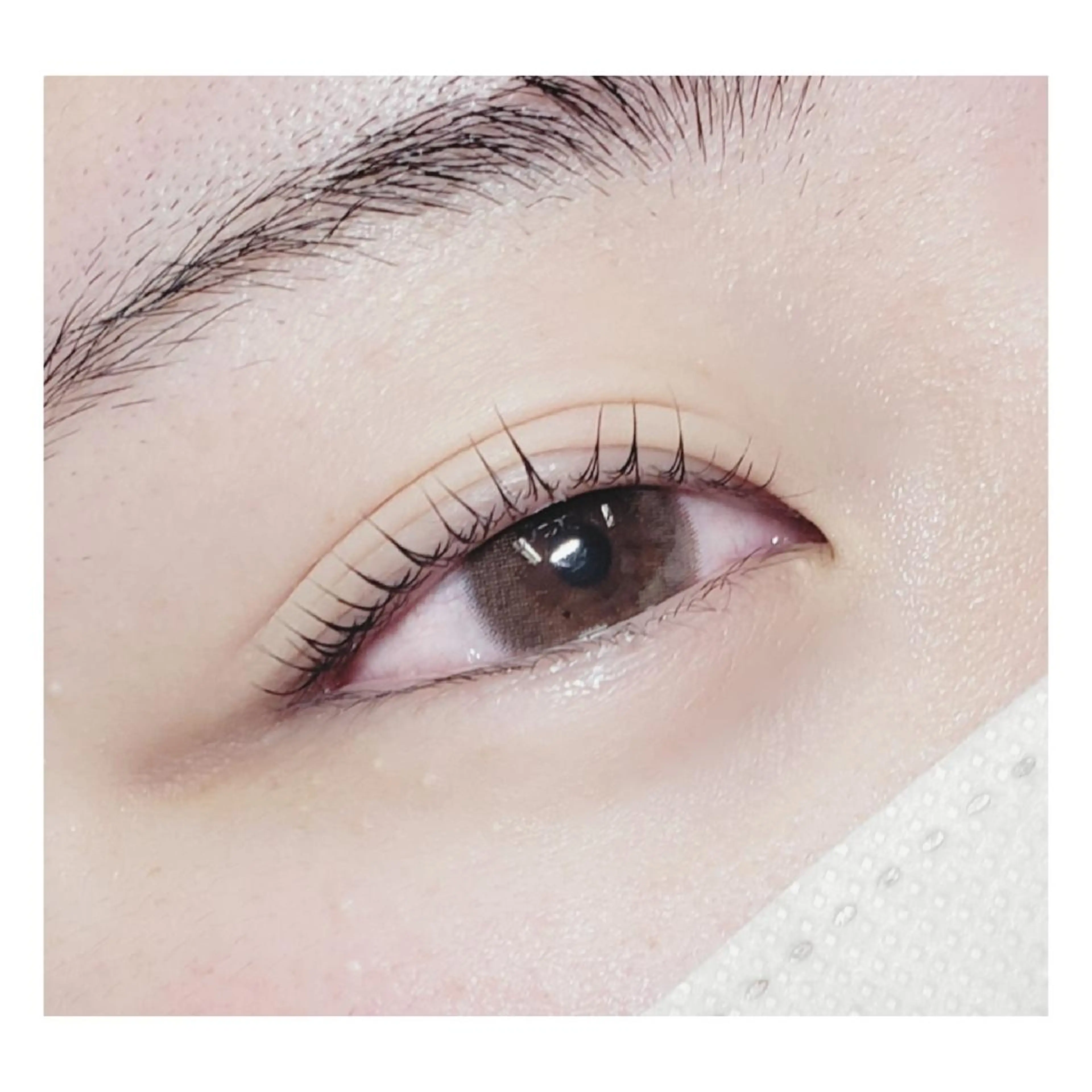 マツエク・マツパ Ricott EYELASH&NAIL所属・Inoue  Yukariのマツエク・マツパデザイン