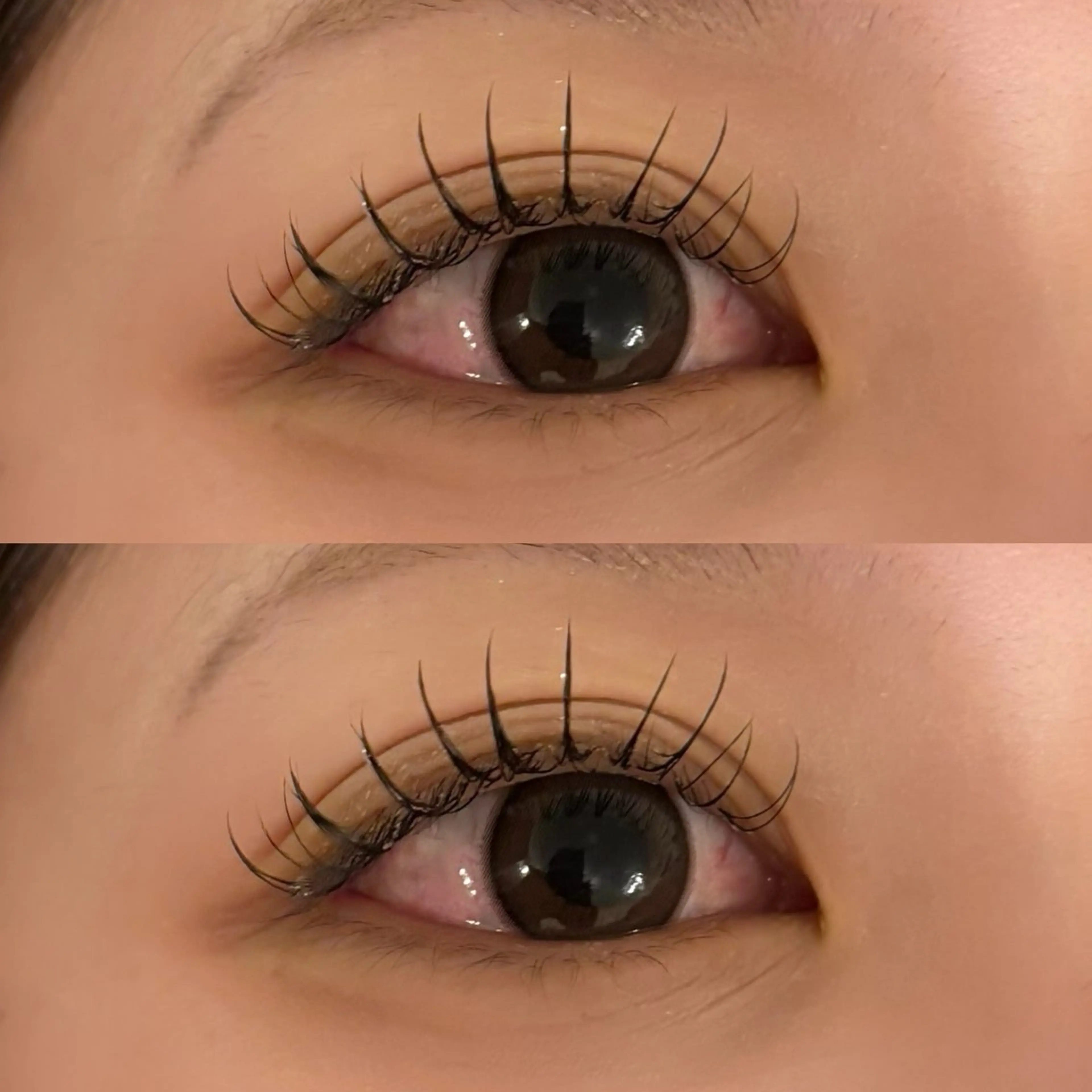 マツエク・マツパ CCカール Cカール フラットラッシュ マツパ 🍇chinatsu 🍇en Rêveのマツエク・マツパデザイン