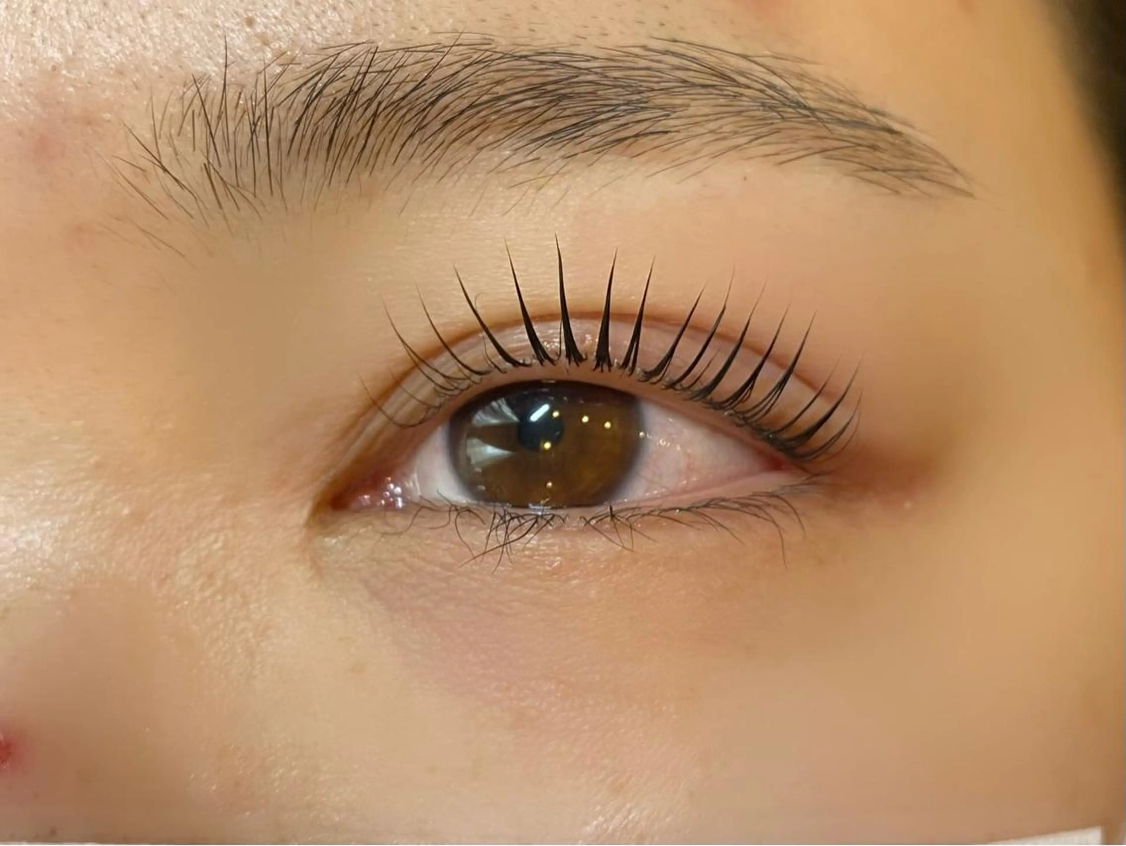 マツエク・マツパ パリジェンヌラッシュリフト デイジーラッシュ 天王寺　南のマツエク・マツパデザイン