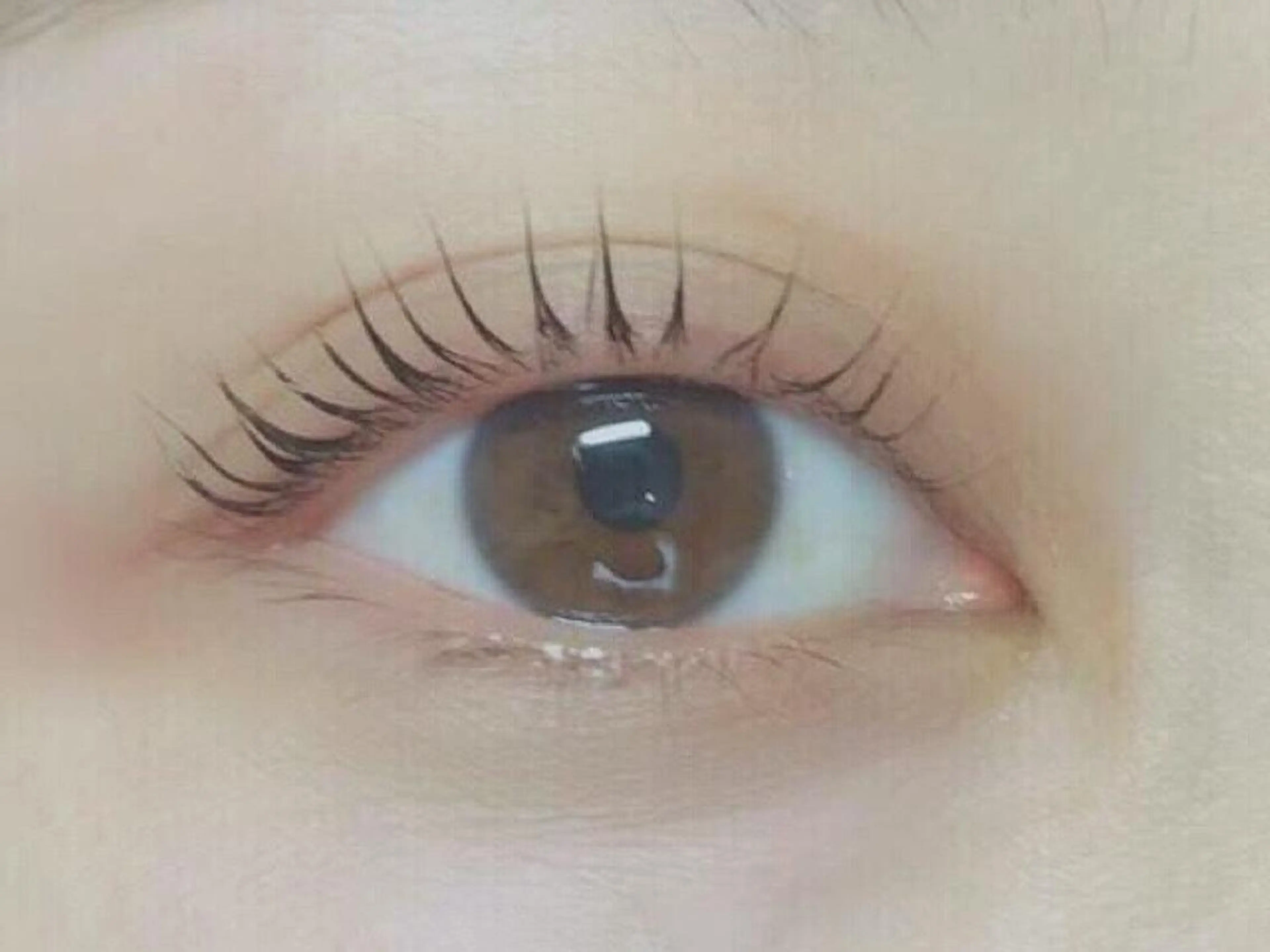 マツエク・マツパ ⭐️Eye＆Eyeblowsalon⭐️Dafne⭐️所属・Dafne SAIのマツエク・マツパデザイン