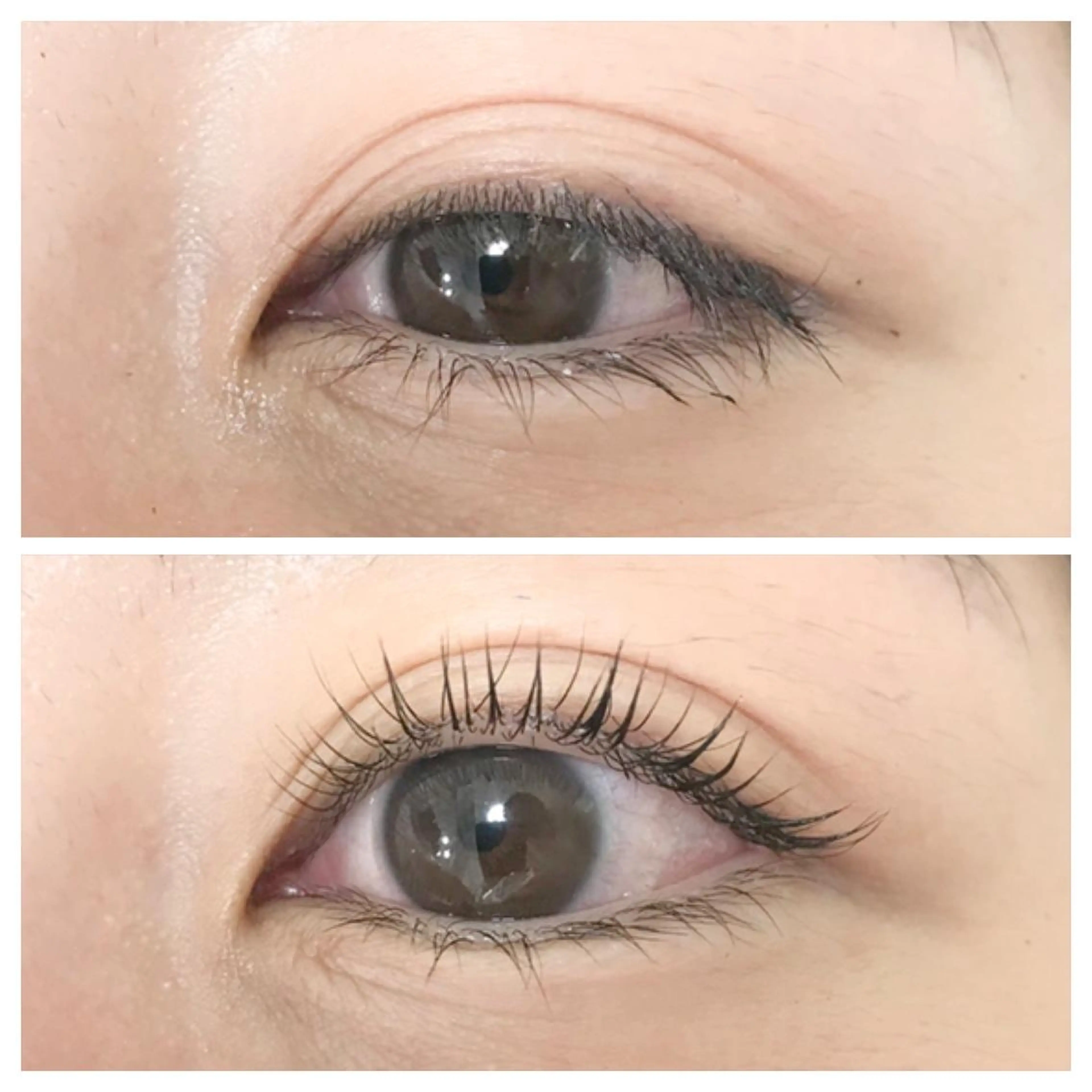 マツエク・マツパ マツパ W aikoの眉毛・アイブロウイメージ