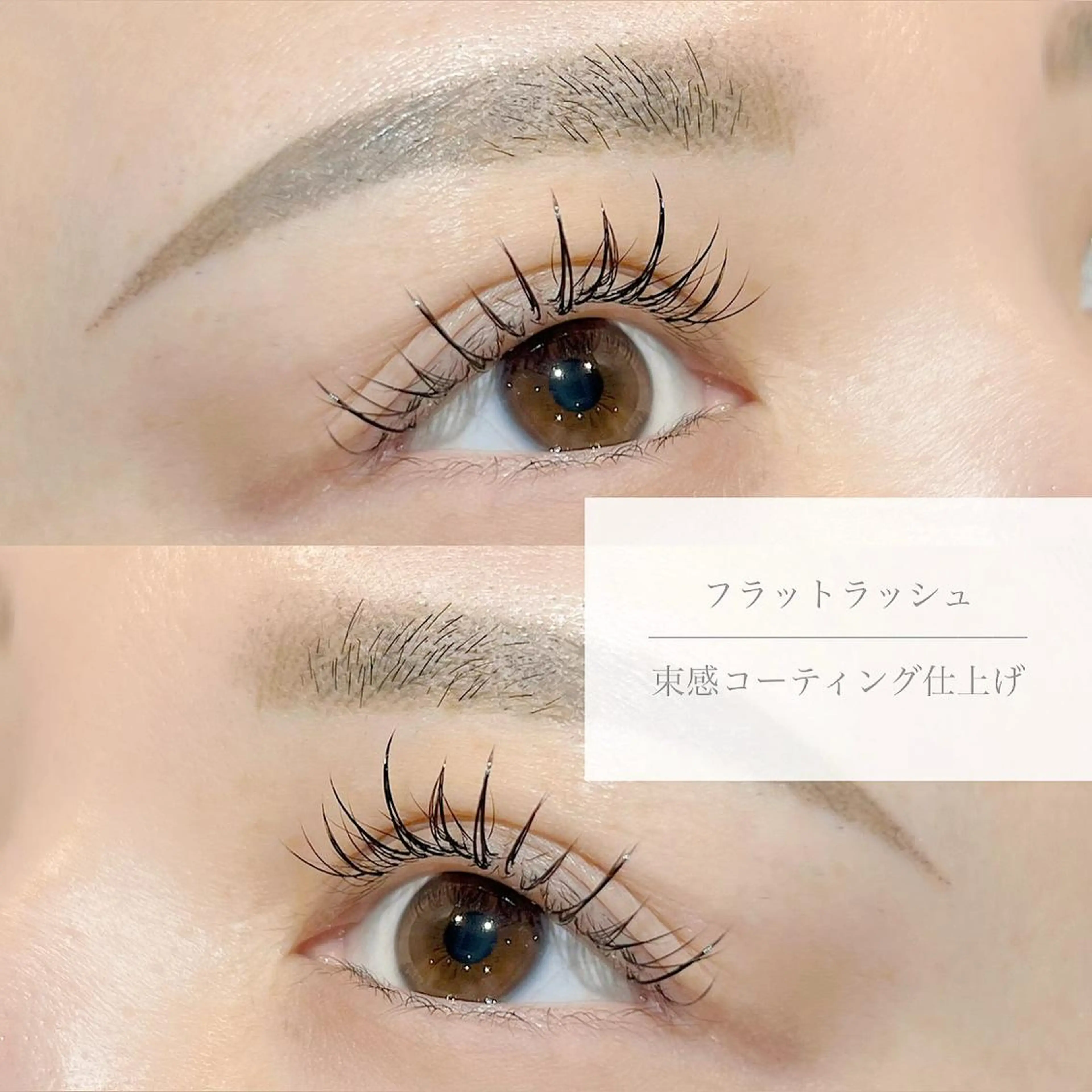 Wフラットラッシュ60分付け放題➕アイブロウWAX🤍の写真