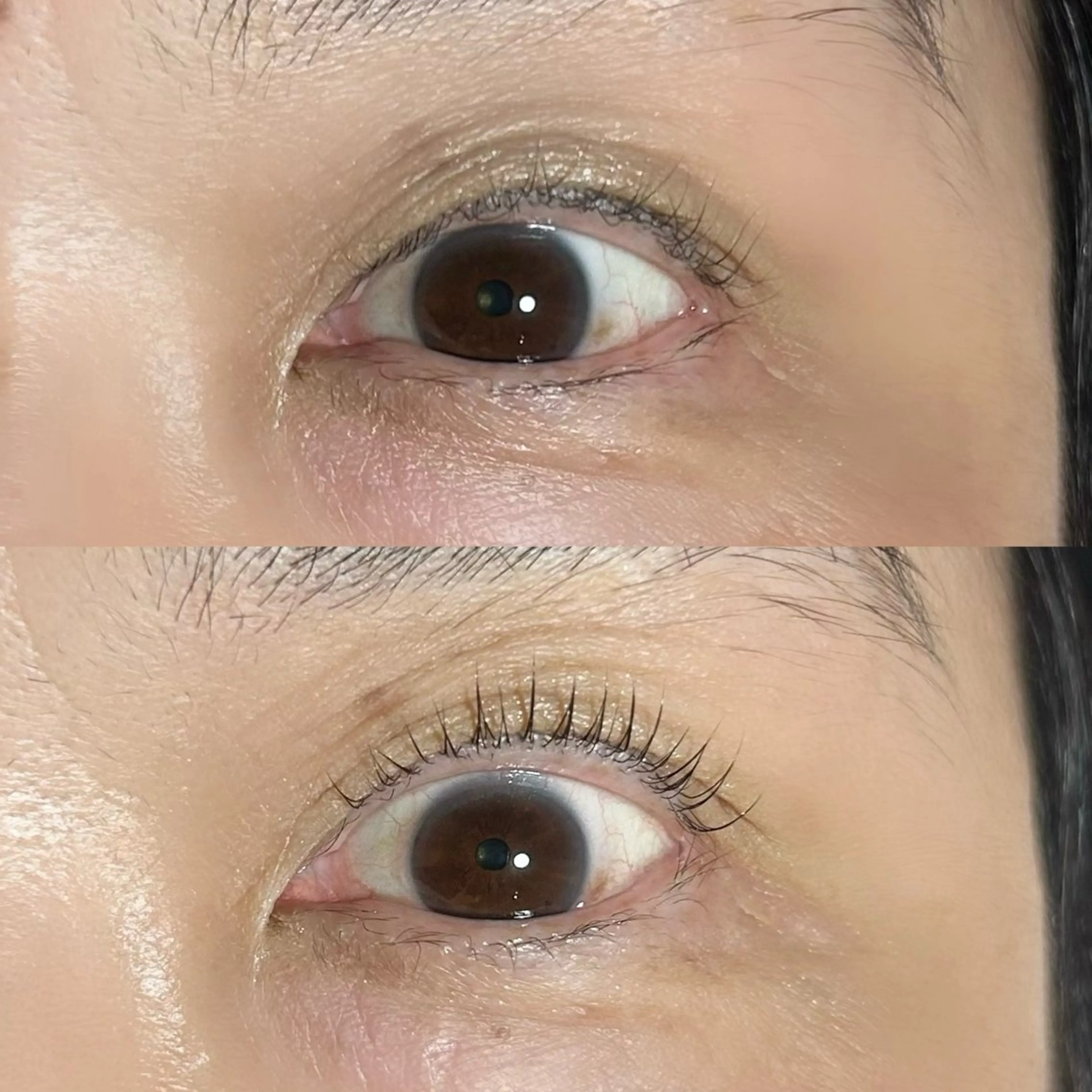 マツエク・マツパ マツパ さくら/ メンズパーマモデルのマツエク・マツパデザイン