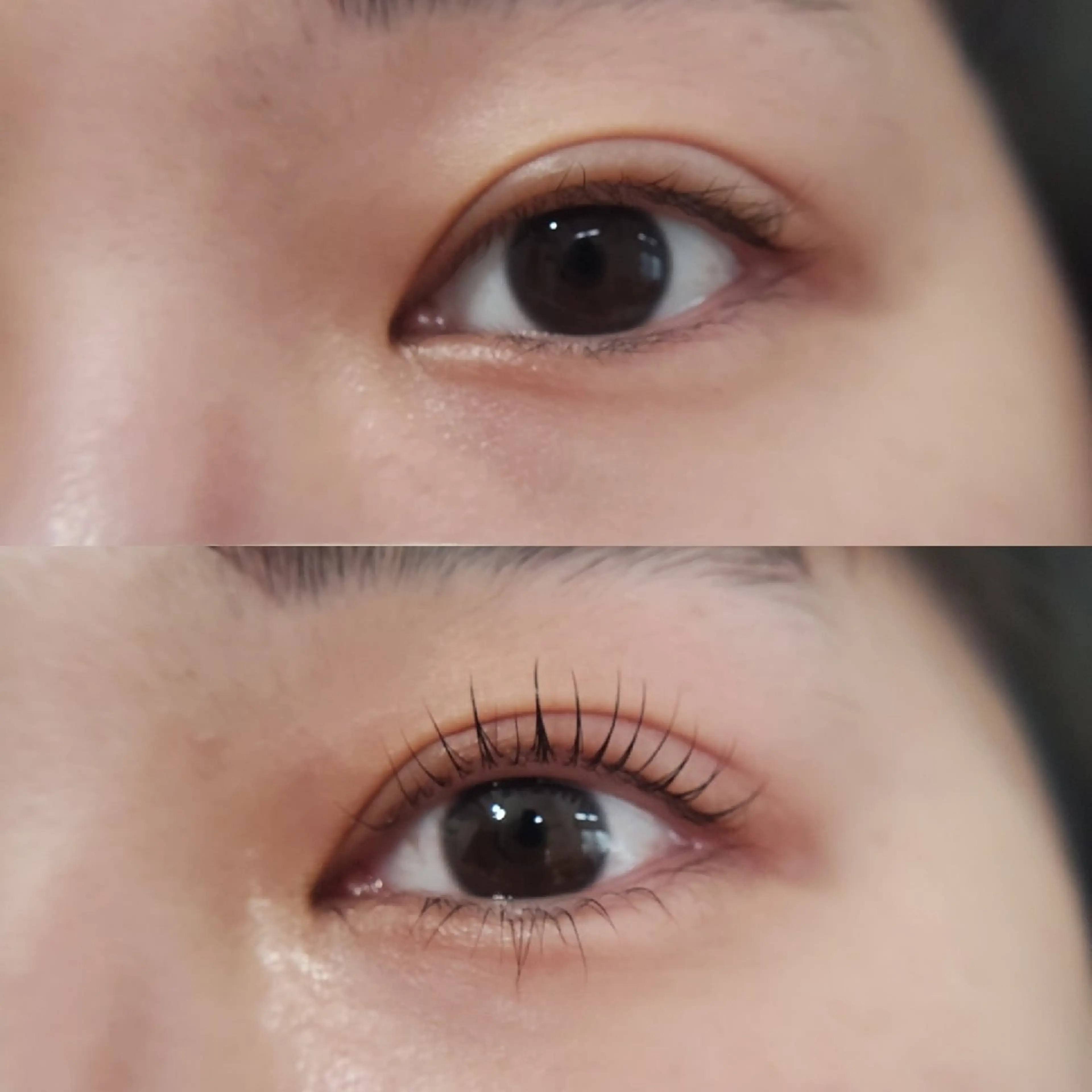 マツエク・マツパ マツパ grace nature〜眉毛とまつ毛の専門店〜所属・眉まつ毛専門店🦄g racenatureのマツエク・マツパデザイン