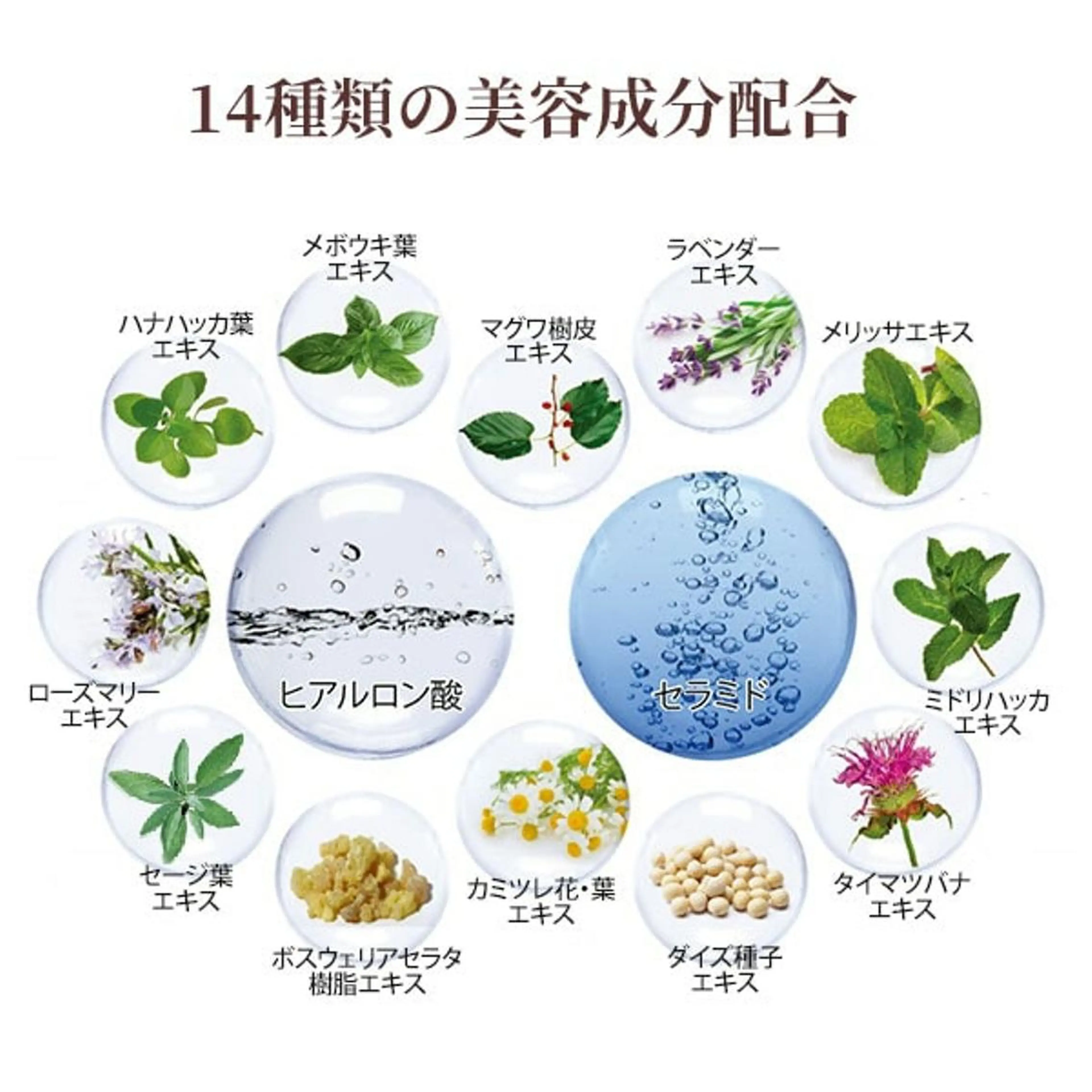 崔 舜翔のエステ・リラクイメージ