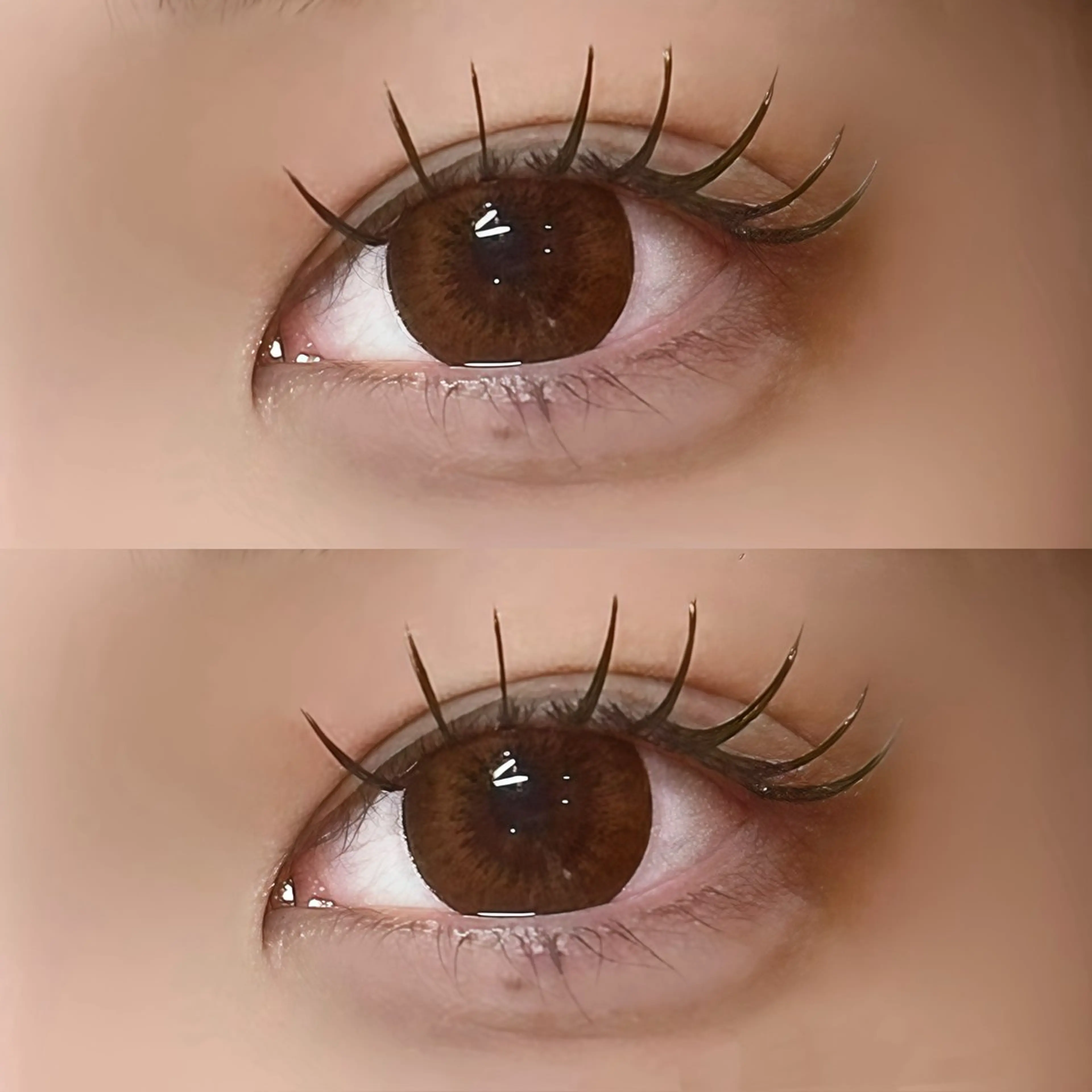 🎀モチ持続、負担軽減🫧　フラットラッシュ✨100本＋束間コーティング💕　オフ込✨の写真