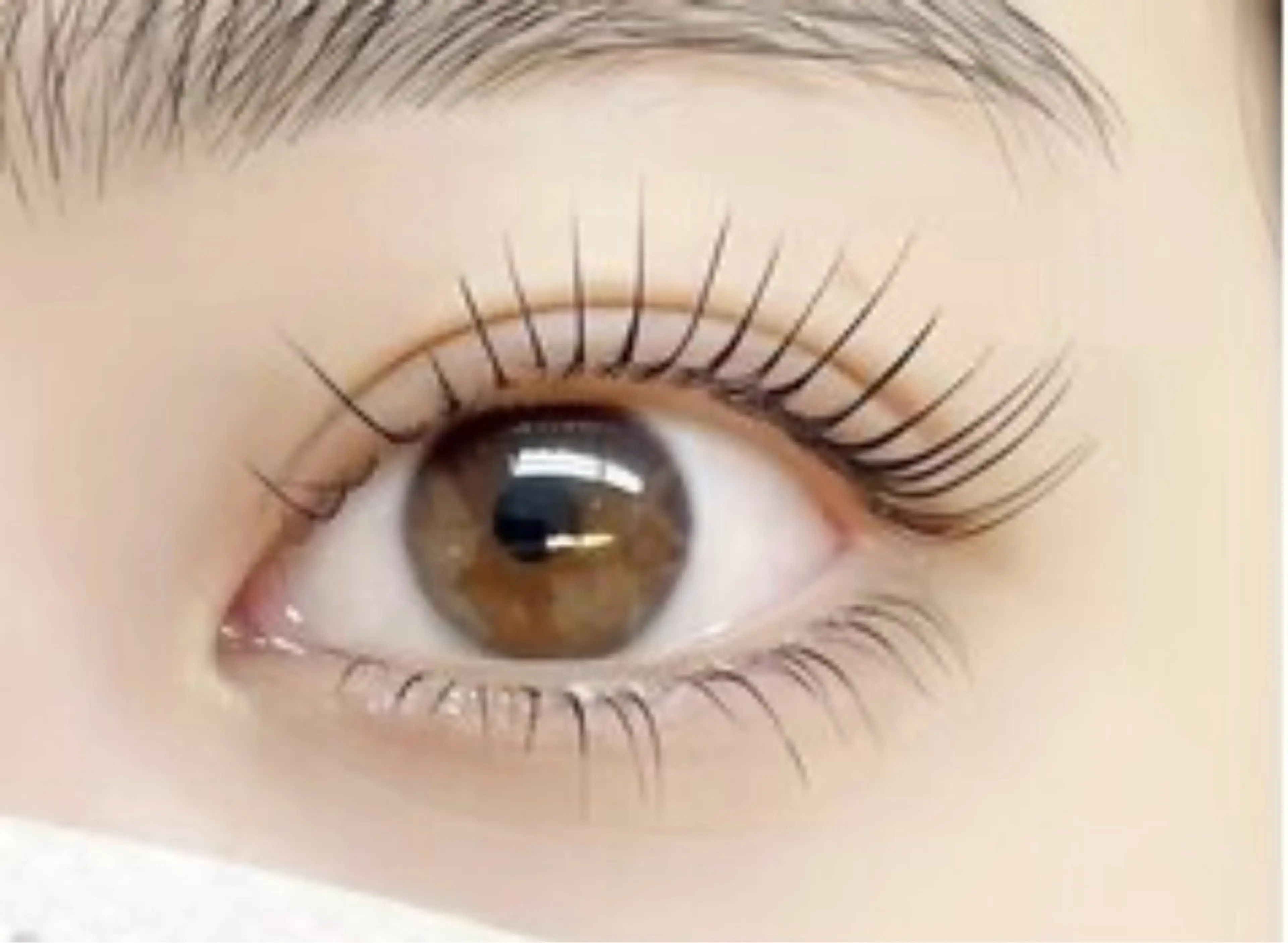 パリジェンヌラッシュリフト/コーティング付きの写真