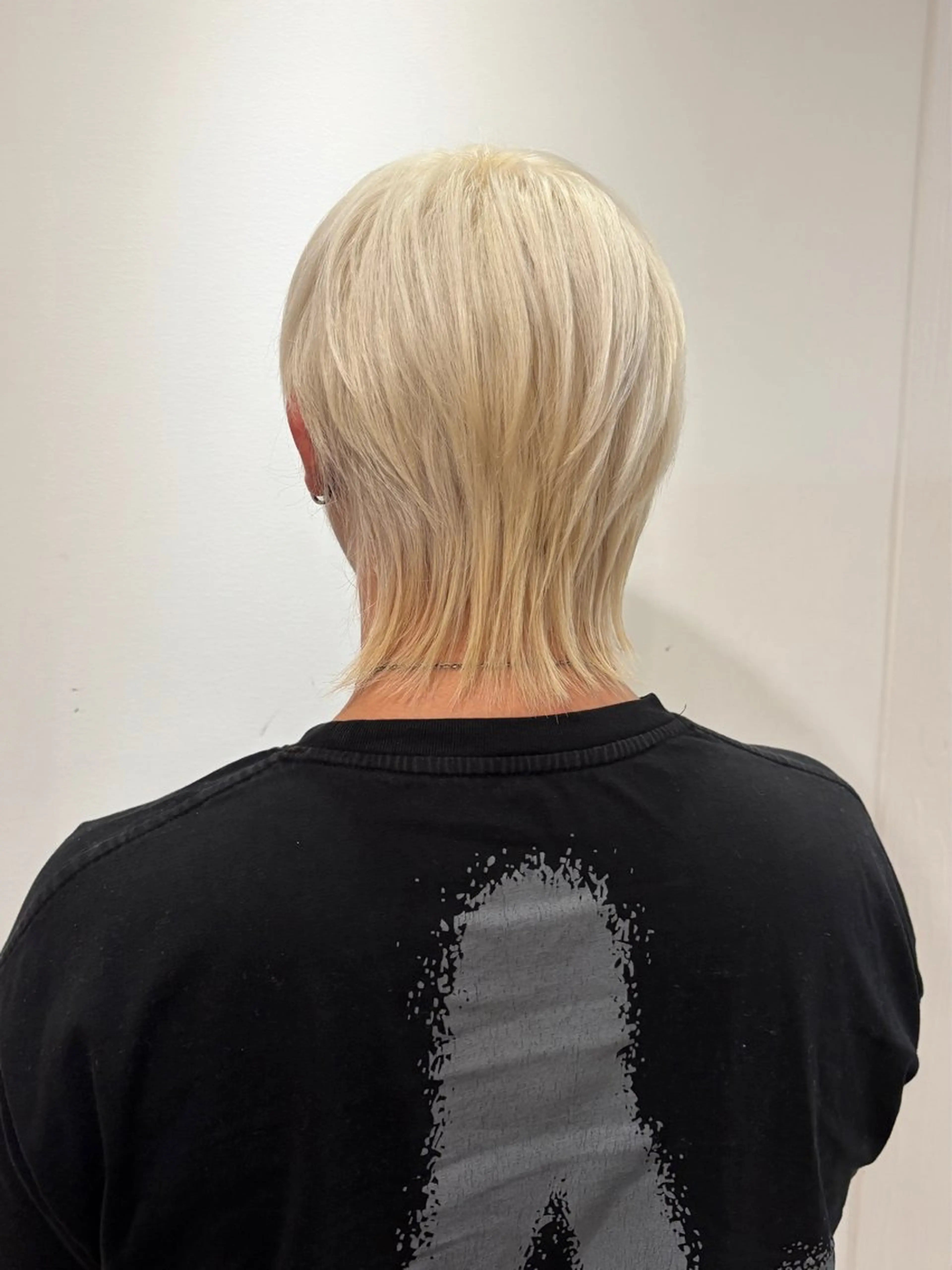 カラー メンズ ヘアカラー トリートメント ハイトーン/ウルフ/ レイヤー/Asukaのヘアスタイル