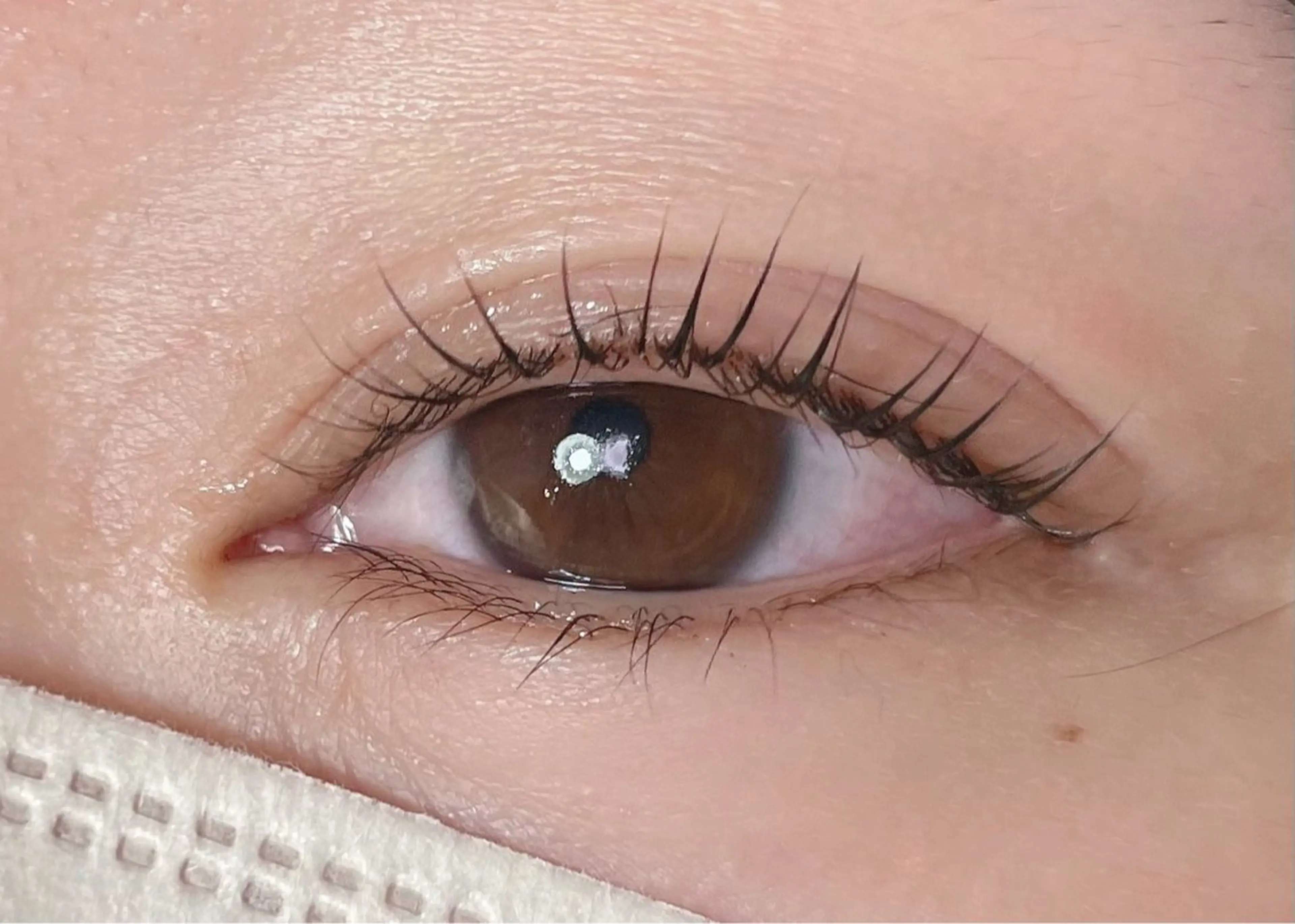 ケラチンラッシュリフト/コーティング込み（デザイン相談の方はこちらのメニューをご選択ください💫）の写真