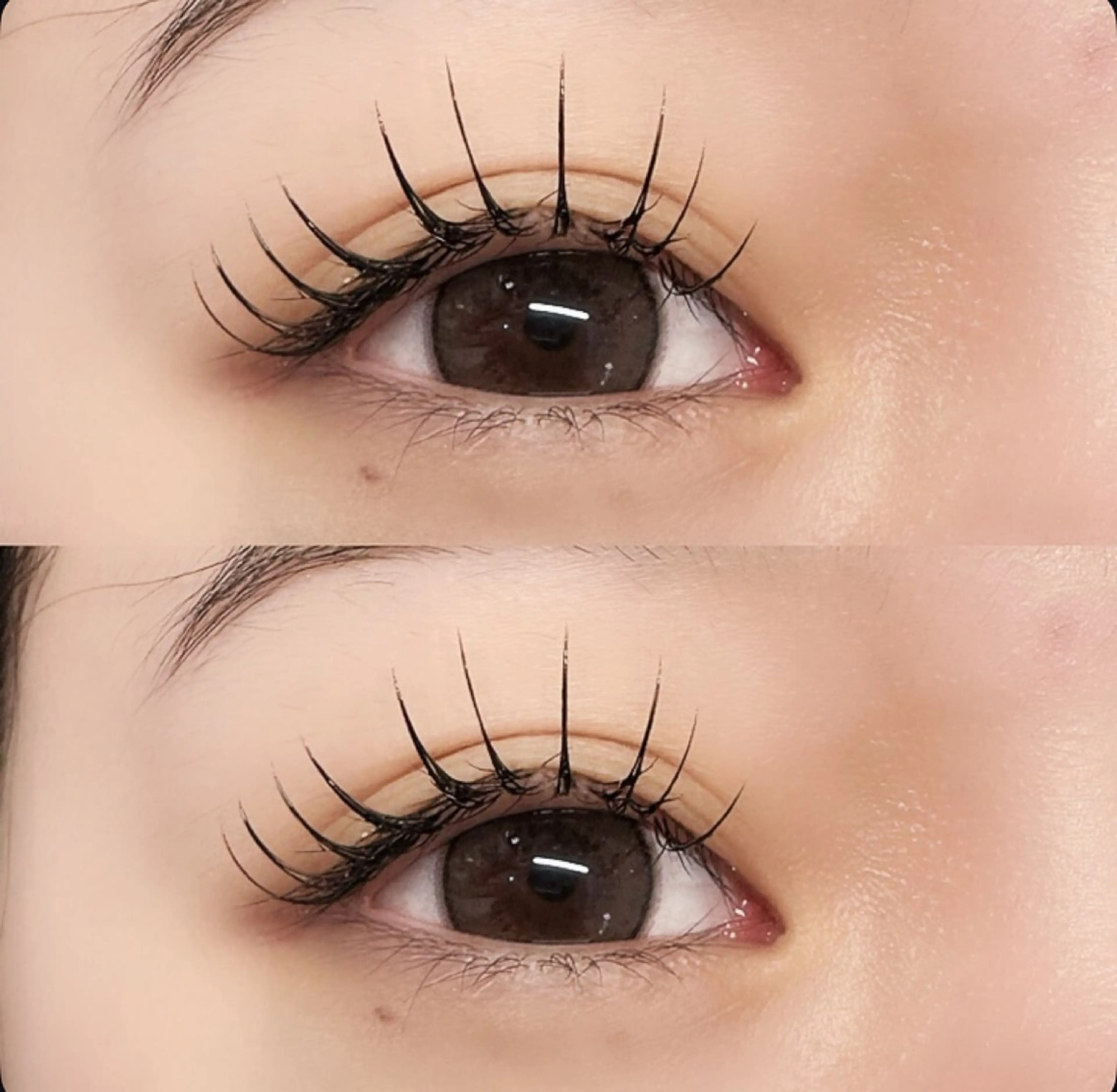 🕊️アンドヘルシー 100本🕊️¦&healthy(マツエク×パーマ) ¦3stepトリートメント付¦補足説明要確認の写真