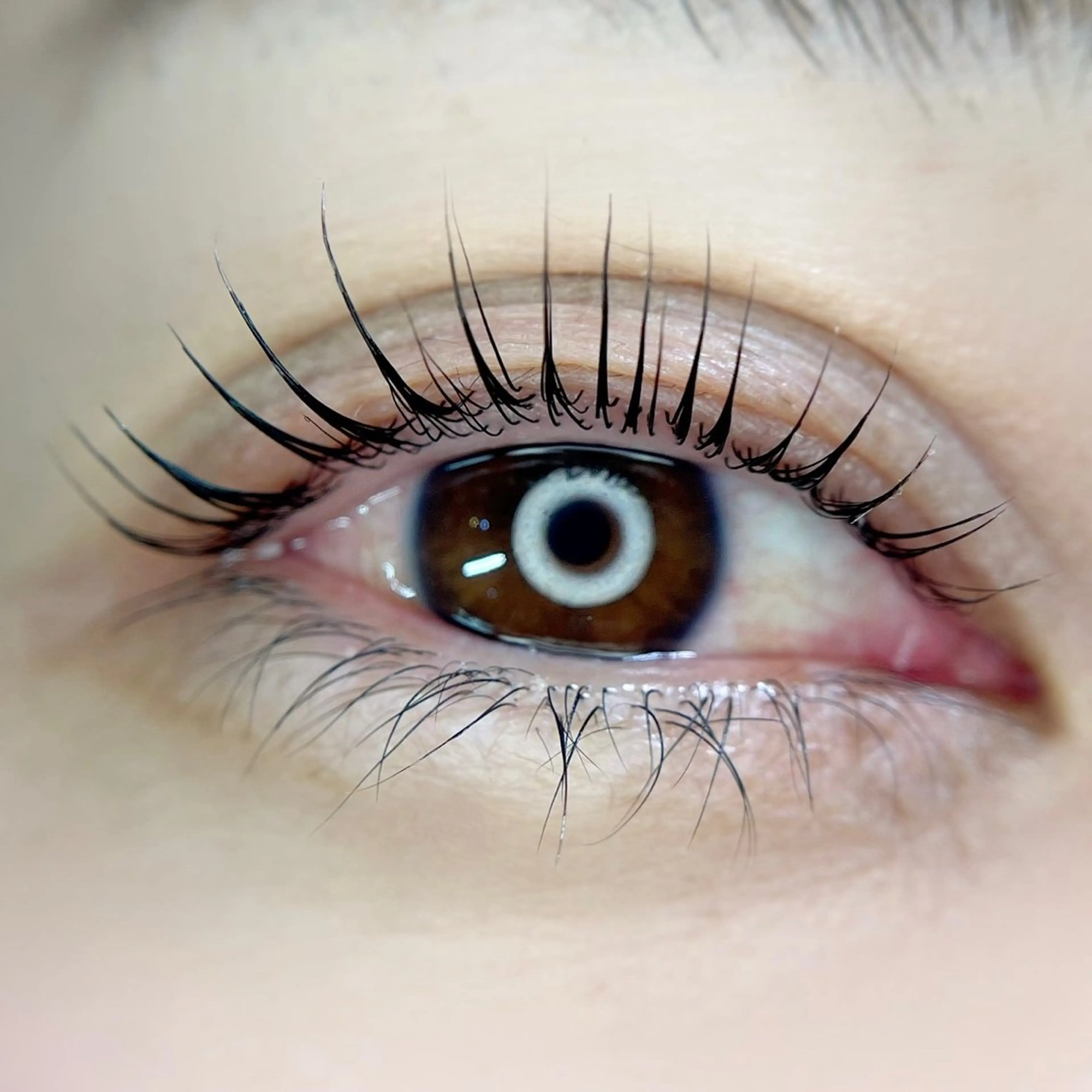 パリジェンヌ／ラッシュリフト／似合わせまつ毛パーマ＊撮影モデル募集＊の写真