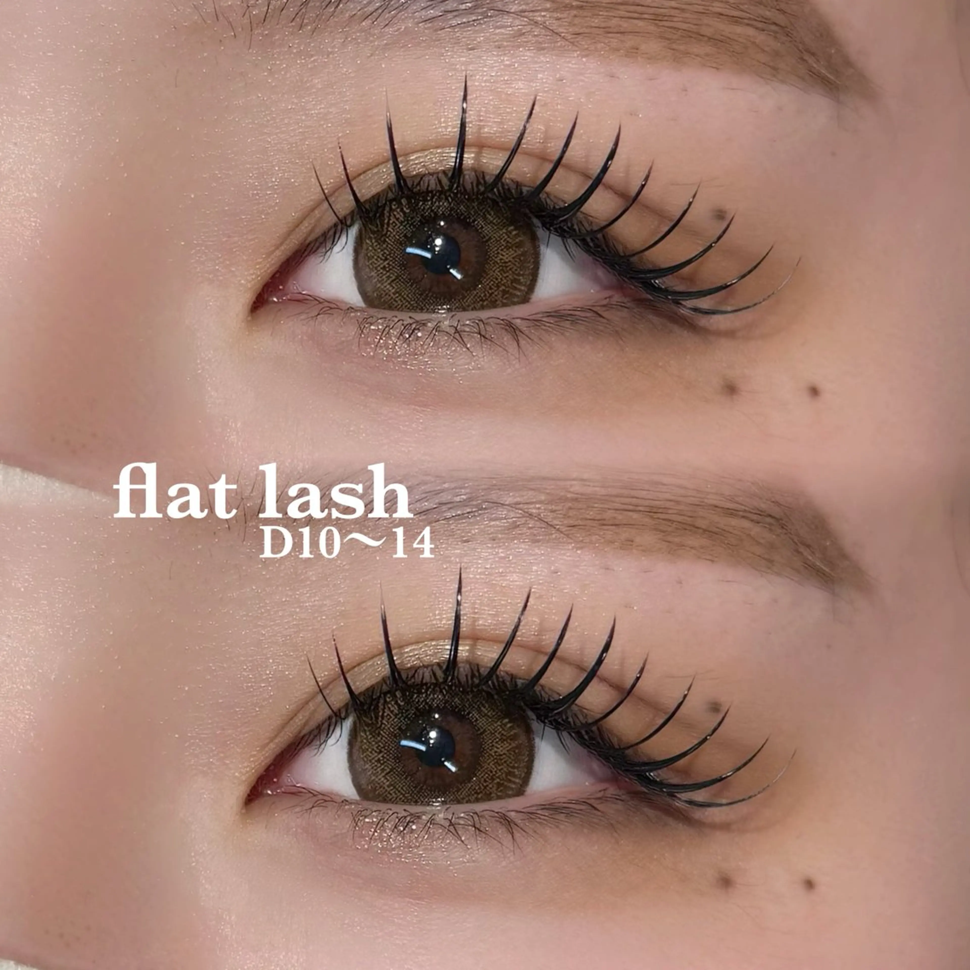 【6週間以内来店オフ無料】プレミアムマットフラット100本の写真