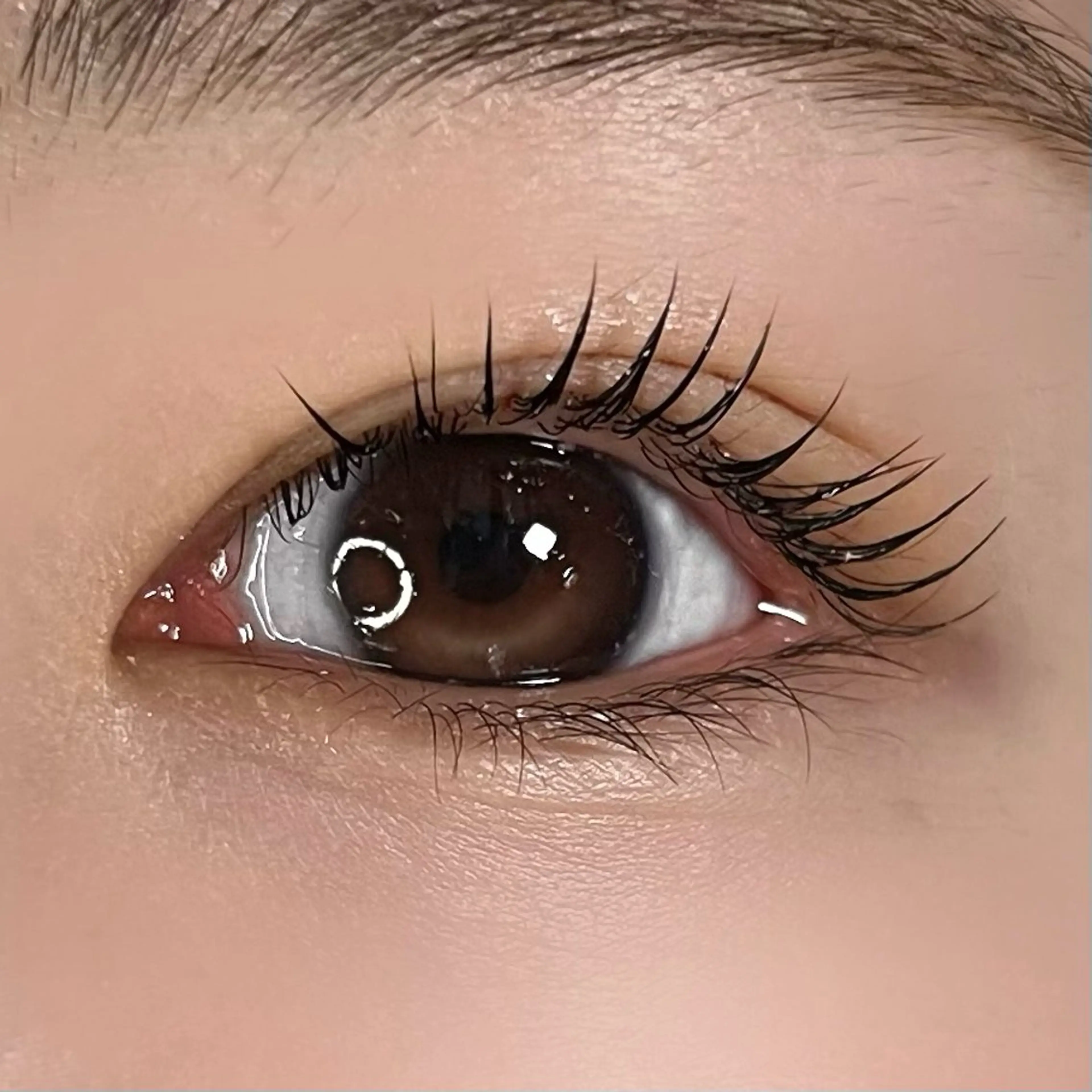 マツエク・マツパ 垢抜け眉WAX専門 ちゅるんまつげ|鎌倉の眉毛・アイブロウイメージ