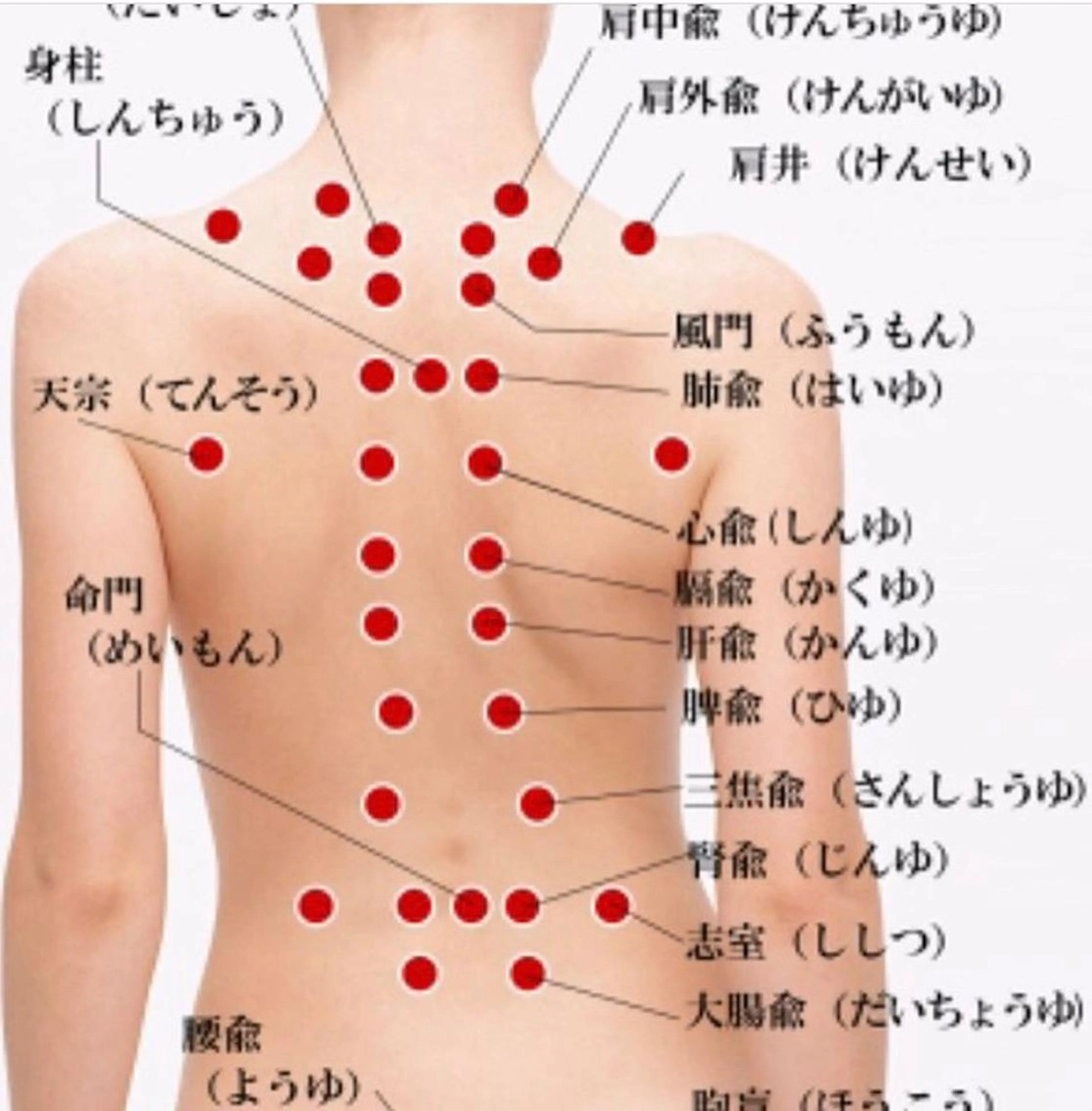 ロング カラー パーマ ヘアアレンジ メンズ キッズ ネイル マツエク・マツパ ‍痩身＆ボディ 結果出し🌟丹野のエステ・リラクイメージ