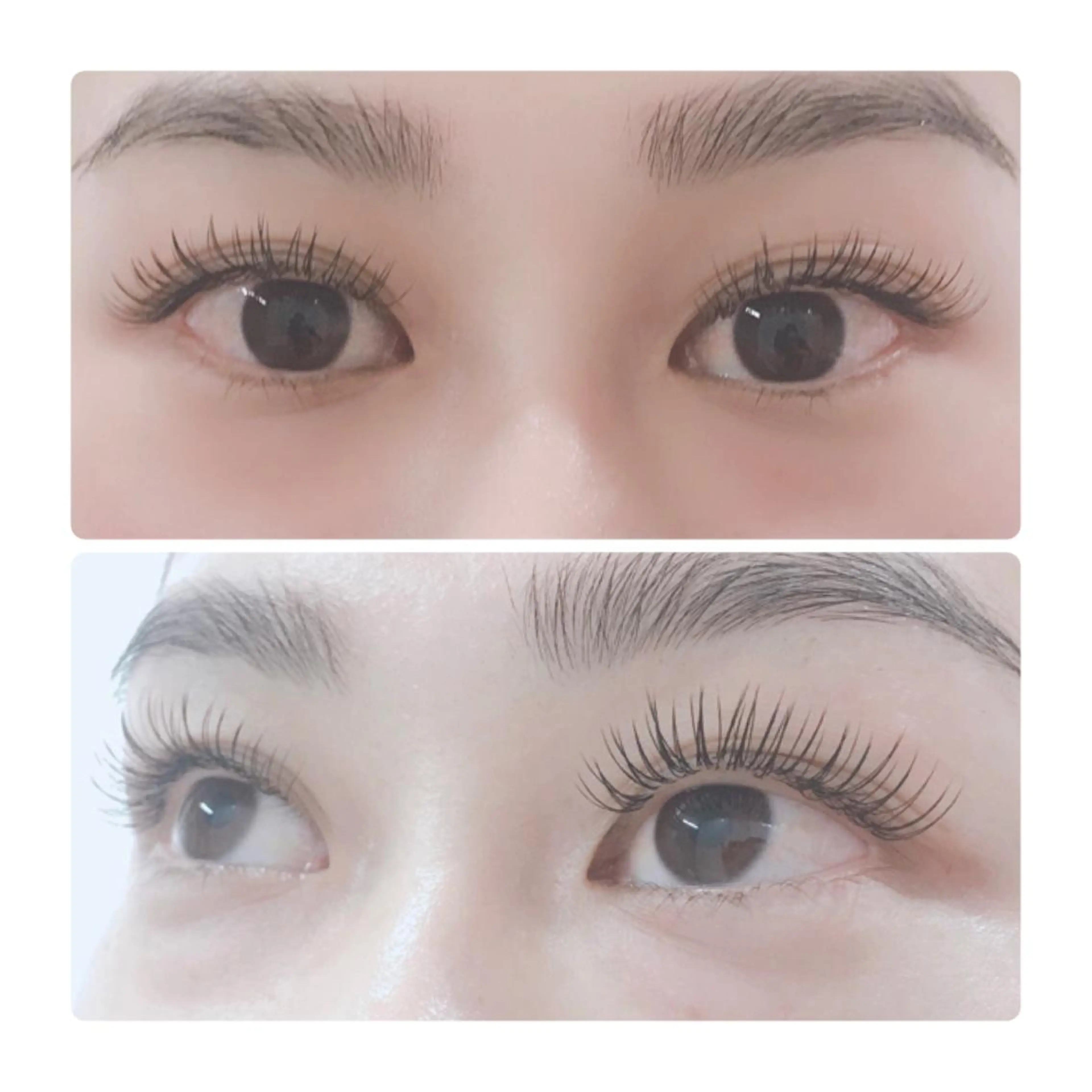 マツエク・マツパ CCカール Cカール フラットラッシュ マツエク ELLA 菊地のマツエク・マツパデザイン