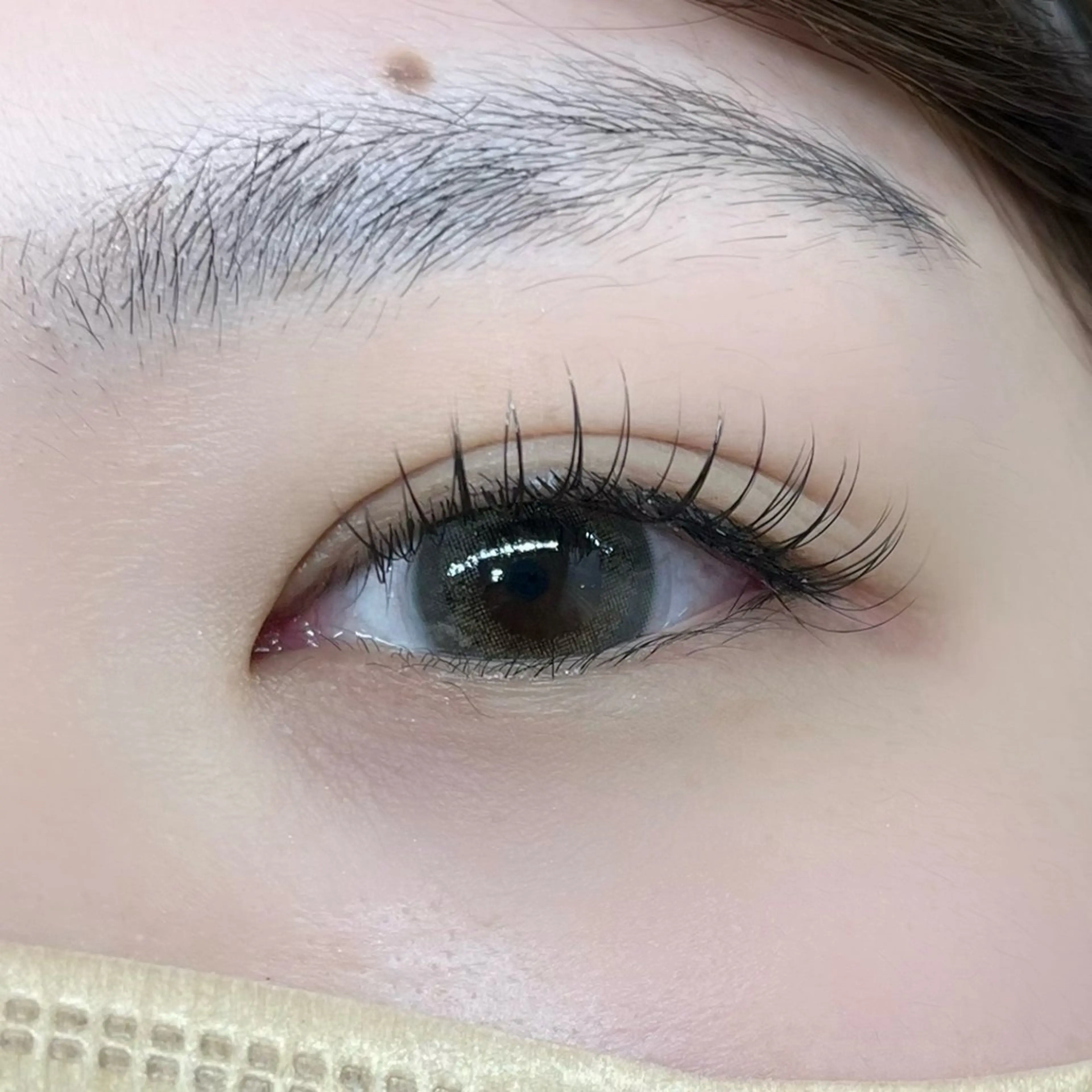 高持続フラットラッシュ 120本(オフ込)の写真