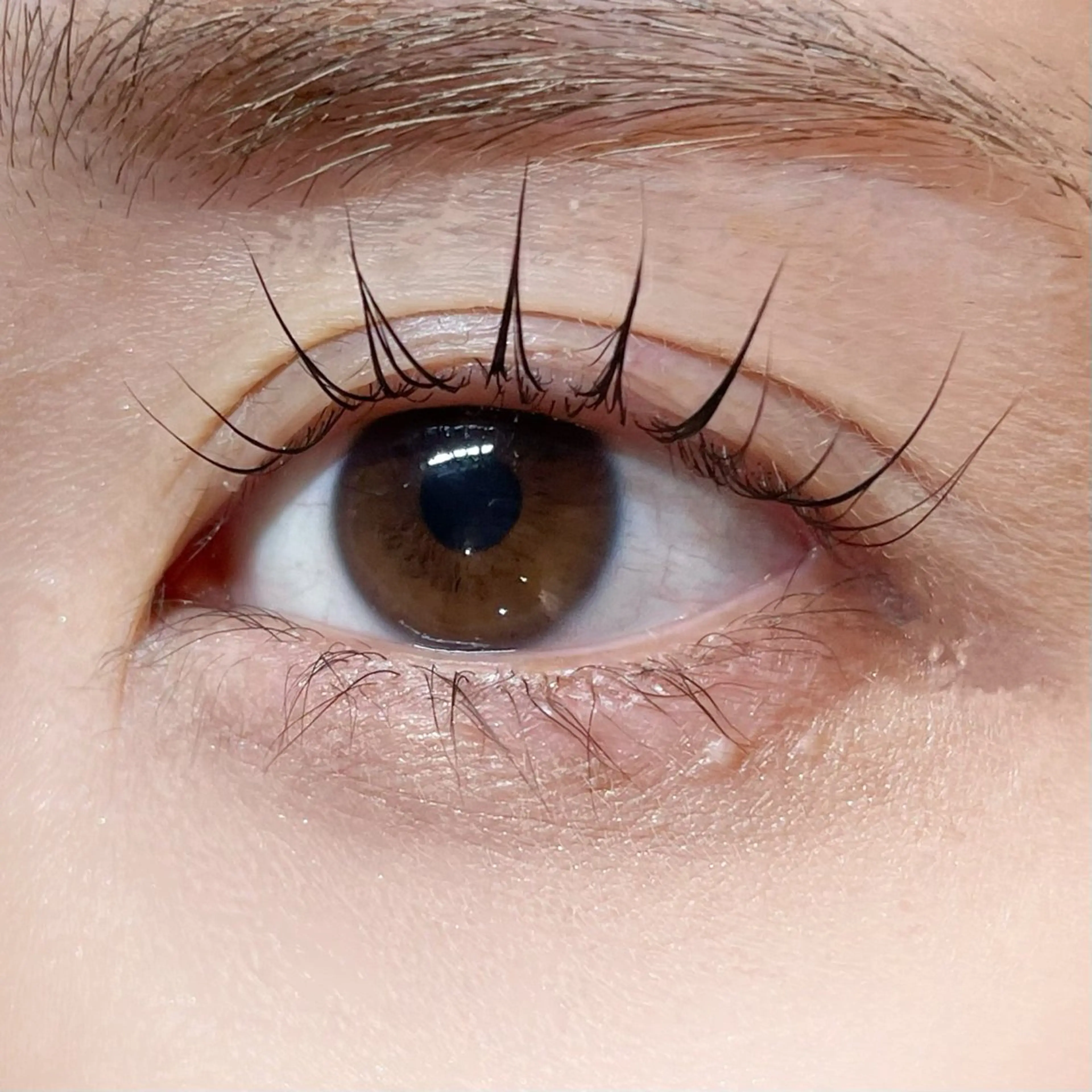 マツエク・マツパ マツパ 櫻井 怜華のマツエク・マツパデザイン