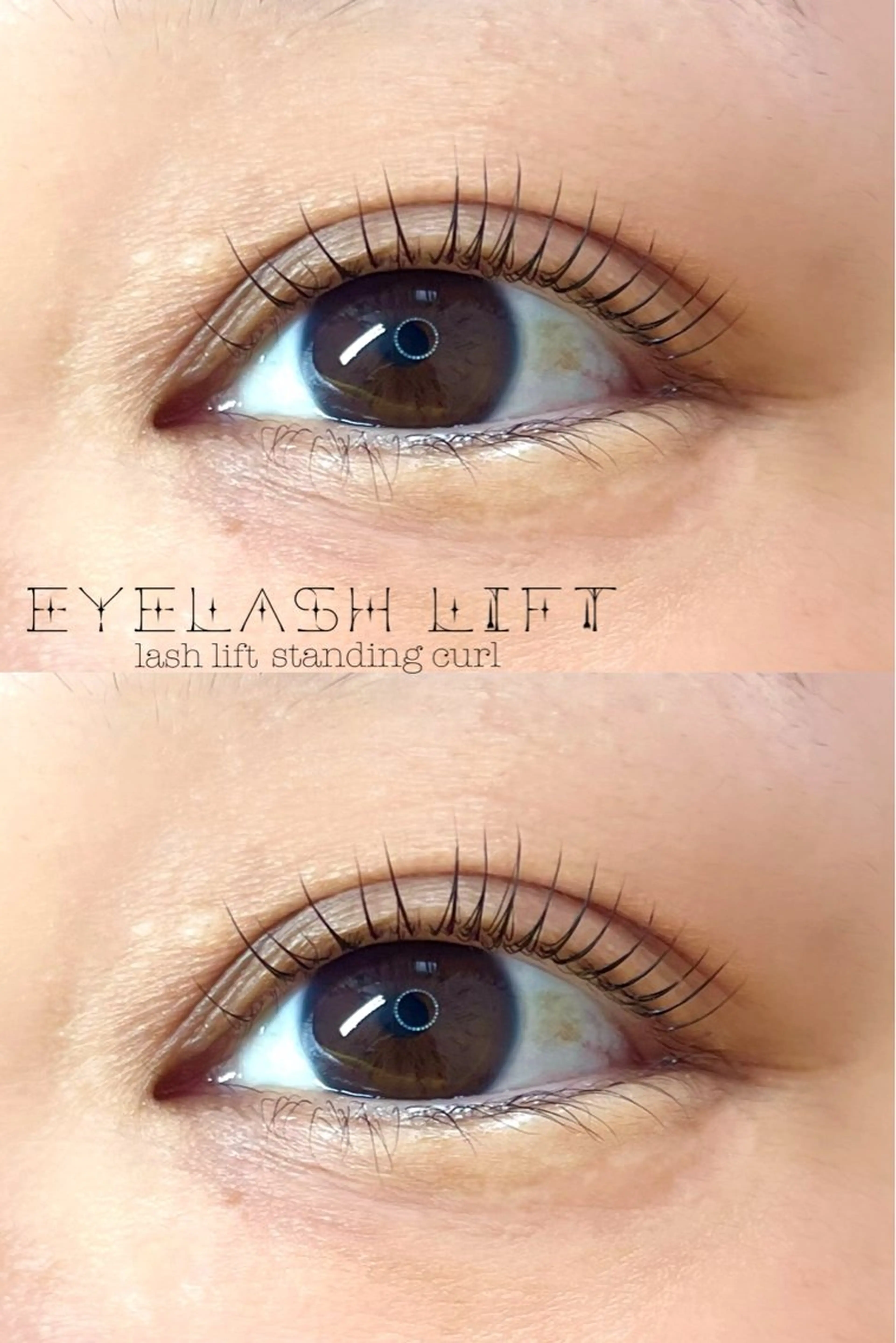 ✨️👀マスカラティントまつ毛パーマ＋高濃度TR🫧（コーティング仕上げ🌟）の写真