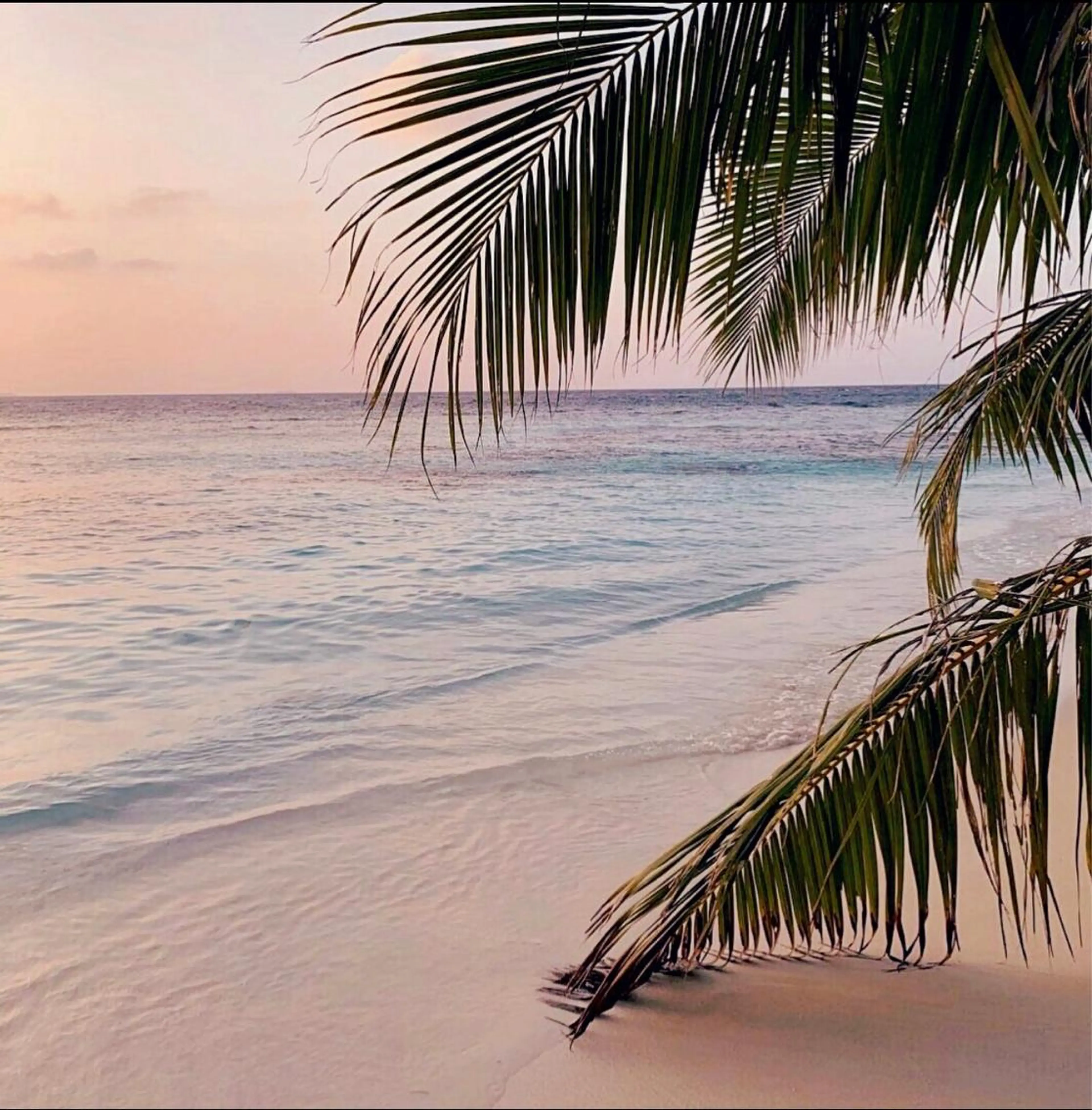 𝐘𝐎𝐒𝐇𝐈 𝐌𝐈🌞🏝のマツエク・マツパデザイン