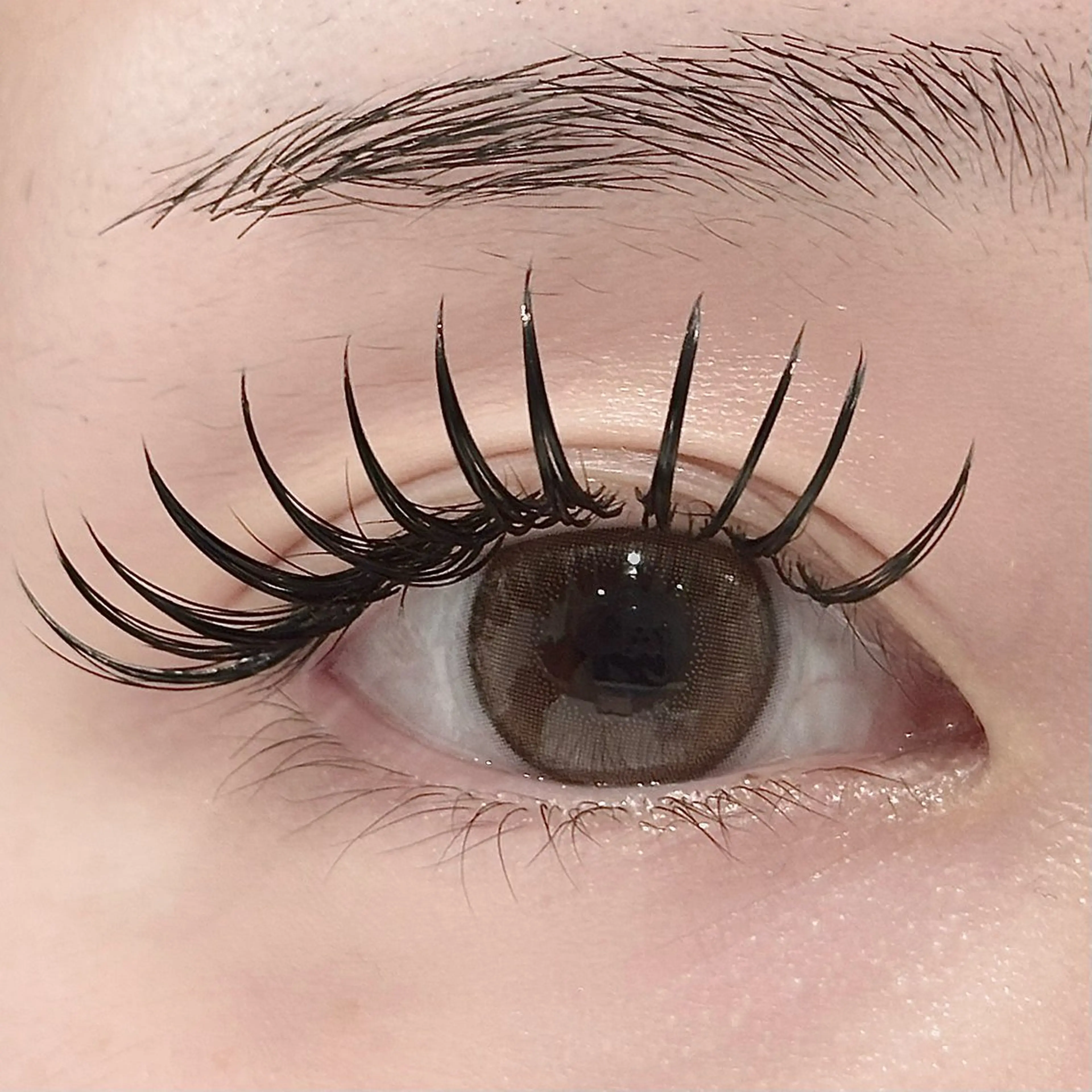 🌺シングルラッシュ120分付け放題🌺の写真