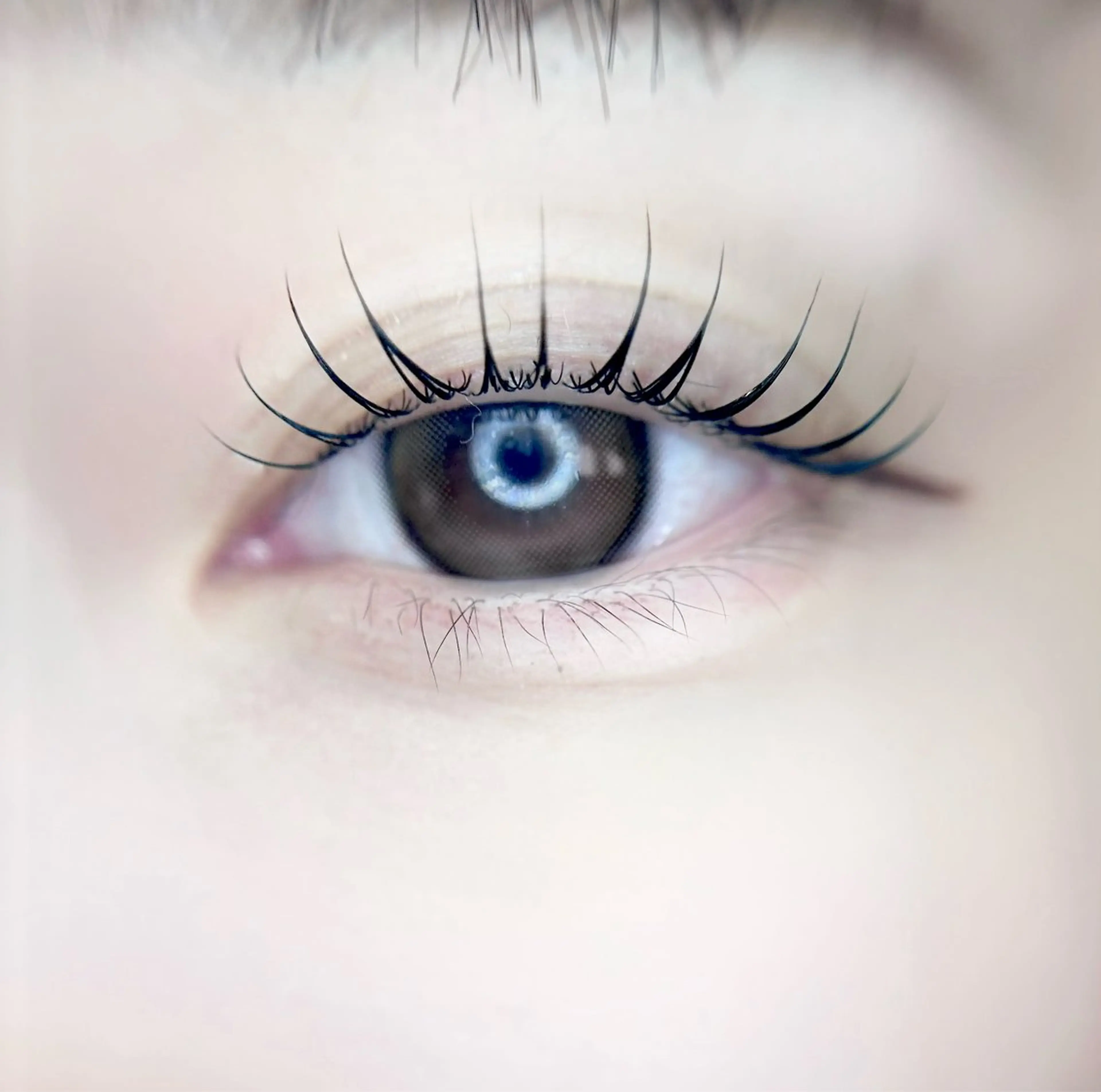 マツエク・マツパ マツパ eyelist. mizuki🐈‍⬛のマツエク・マツパデザイン