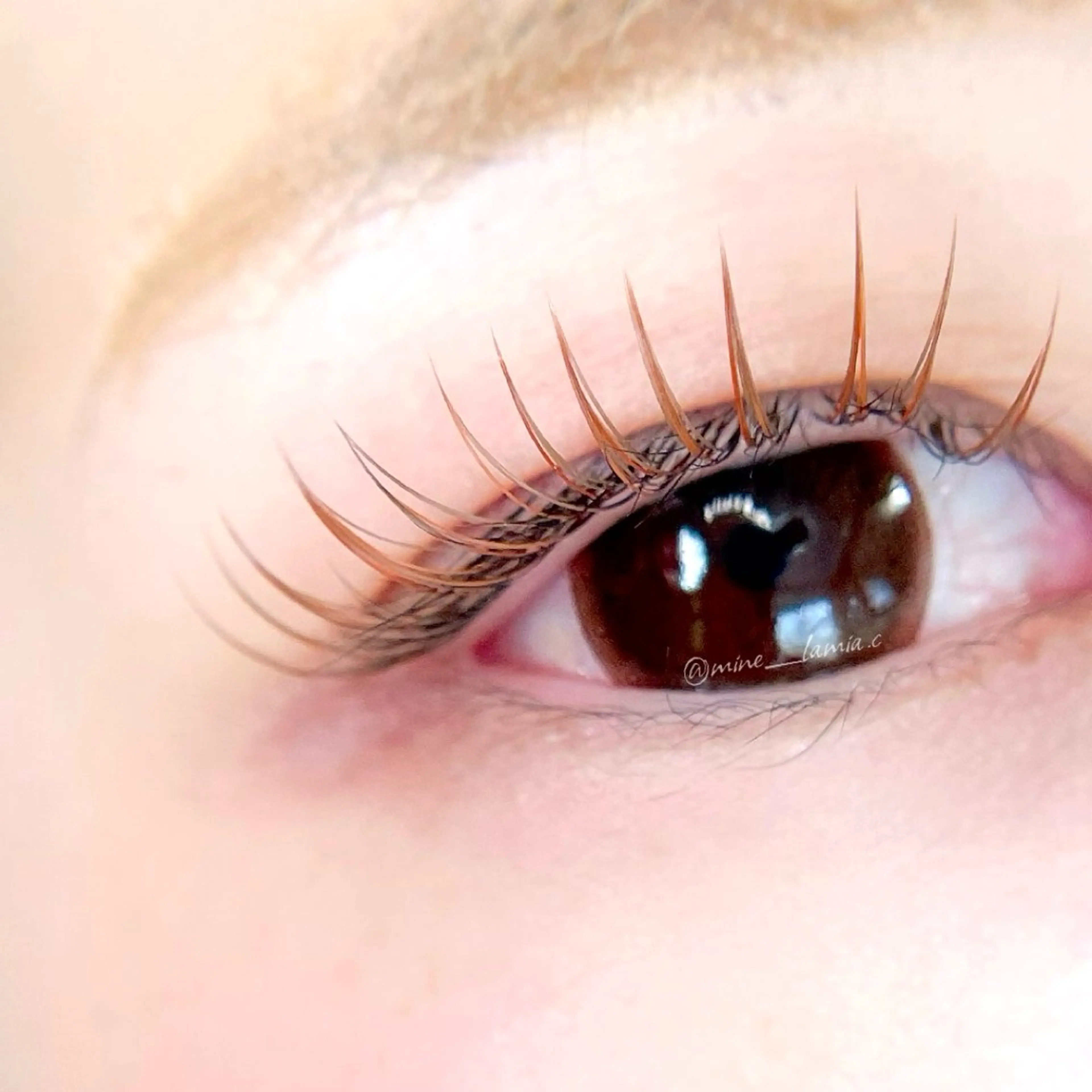 マツエク・マツパ マツエク LaMia.C ラミア所属・LaMia.C ラミアのマツエク・マツパデザイン