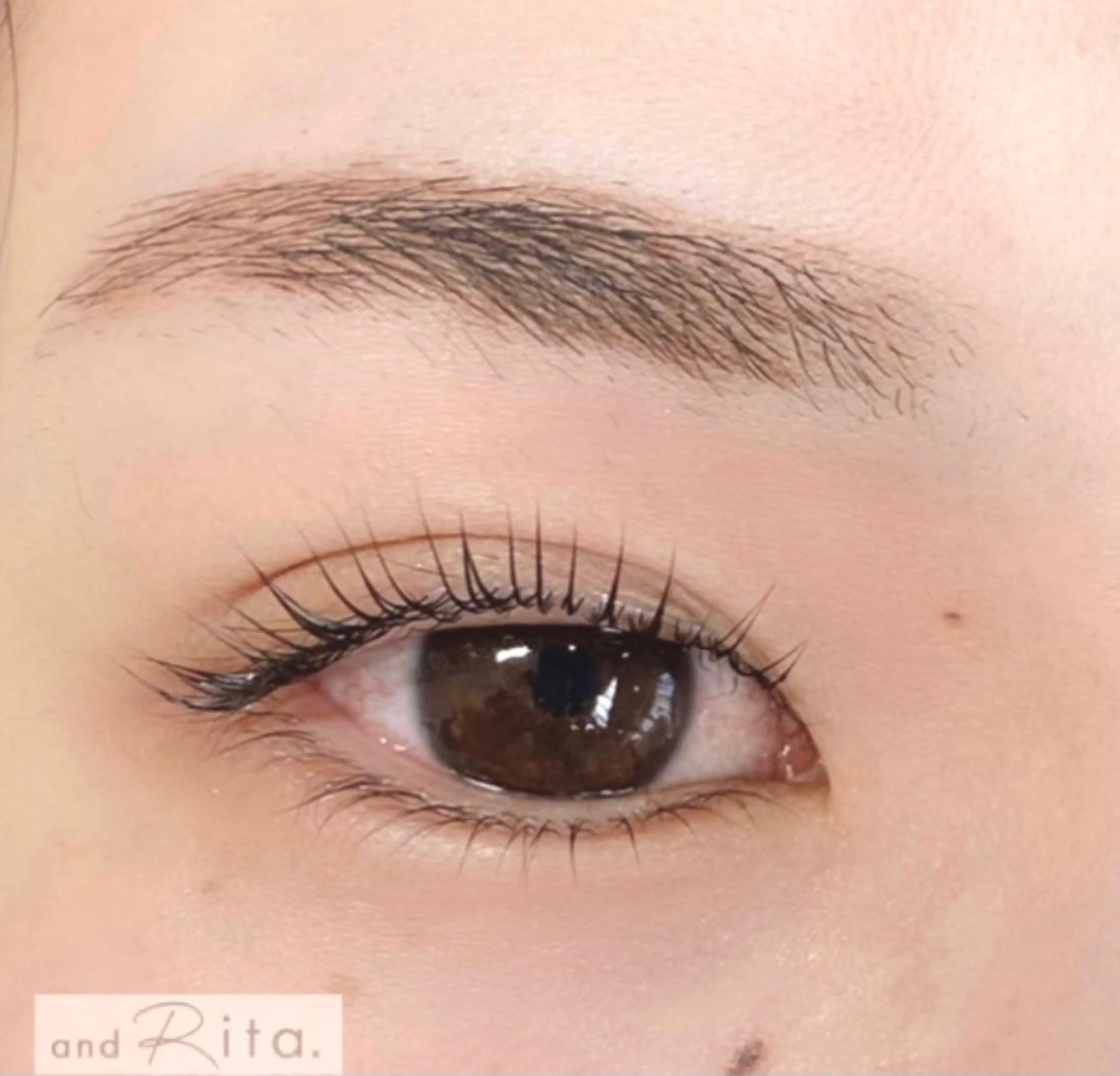 マツエク・マツパ まつげパーマ and Rita 蒲生店所属・andRita蒲生店 kanouのマツエク・マツパデザイン