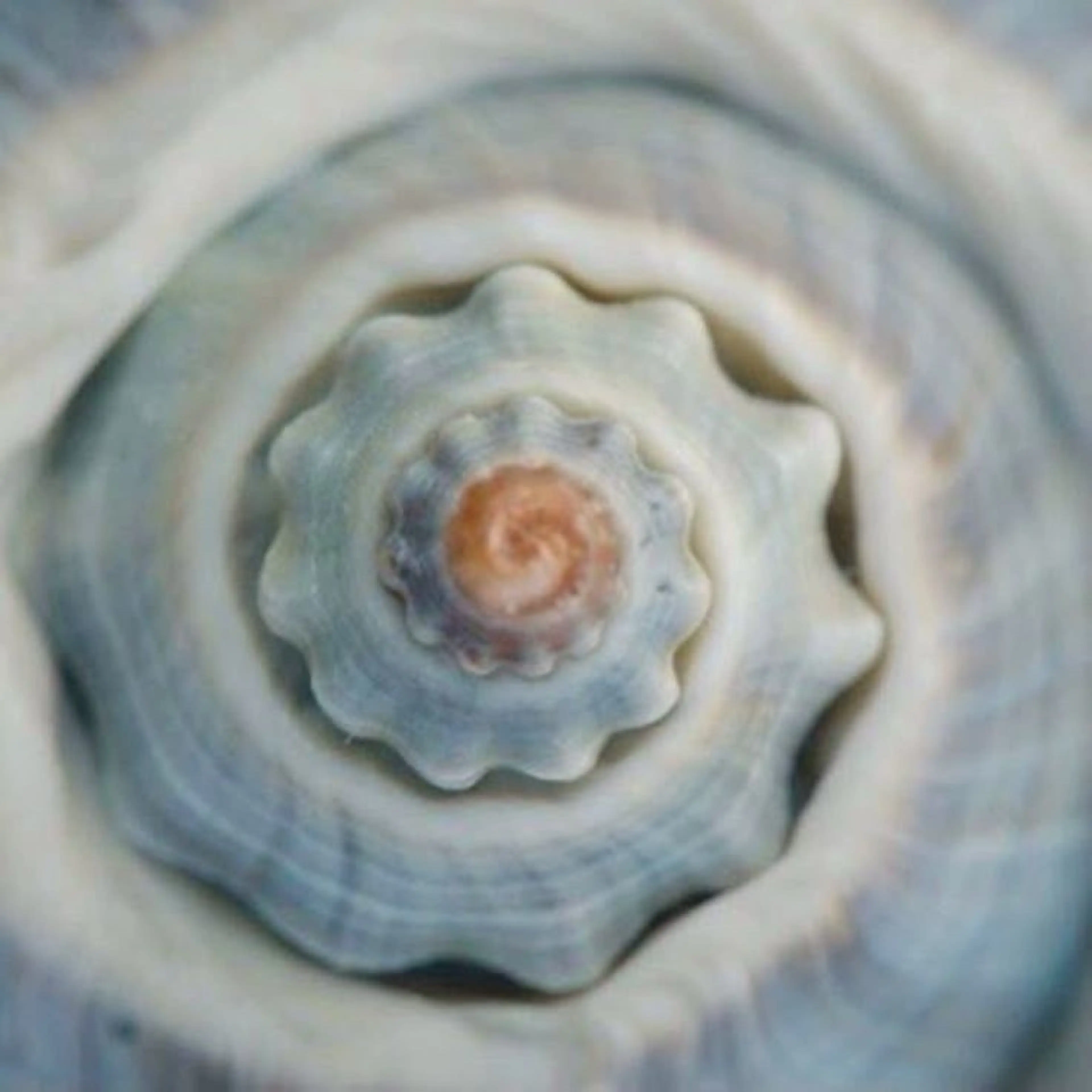 マツエク・マツパ 🦋MaaZlash 南流山FUKA🤍のマツエク・マツパデザイン