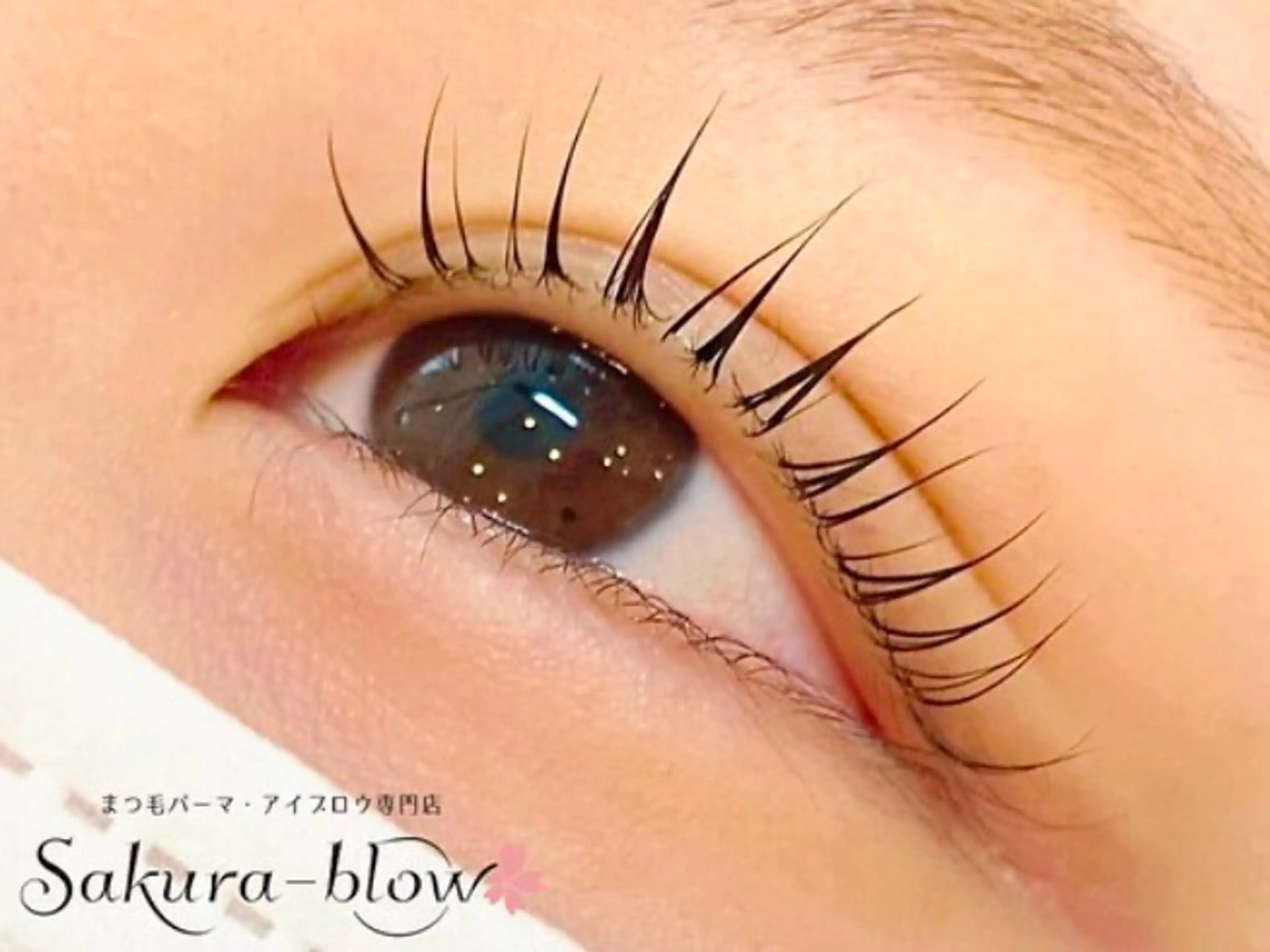 マツエク・マツパ サクラブロウ 池袋　店の眉毛・アイブロウイメージ