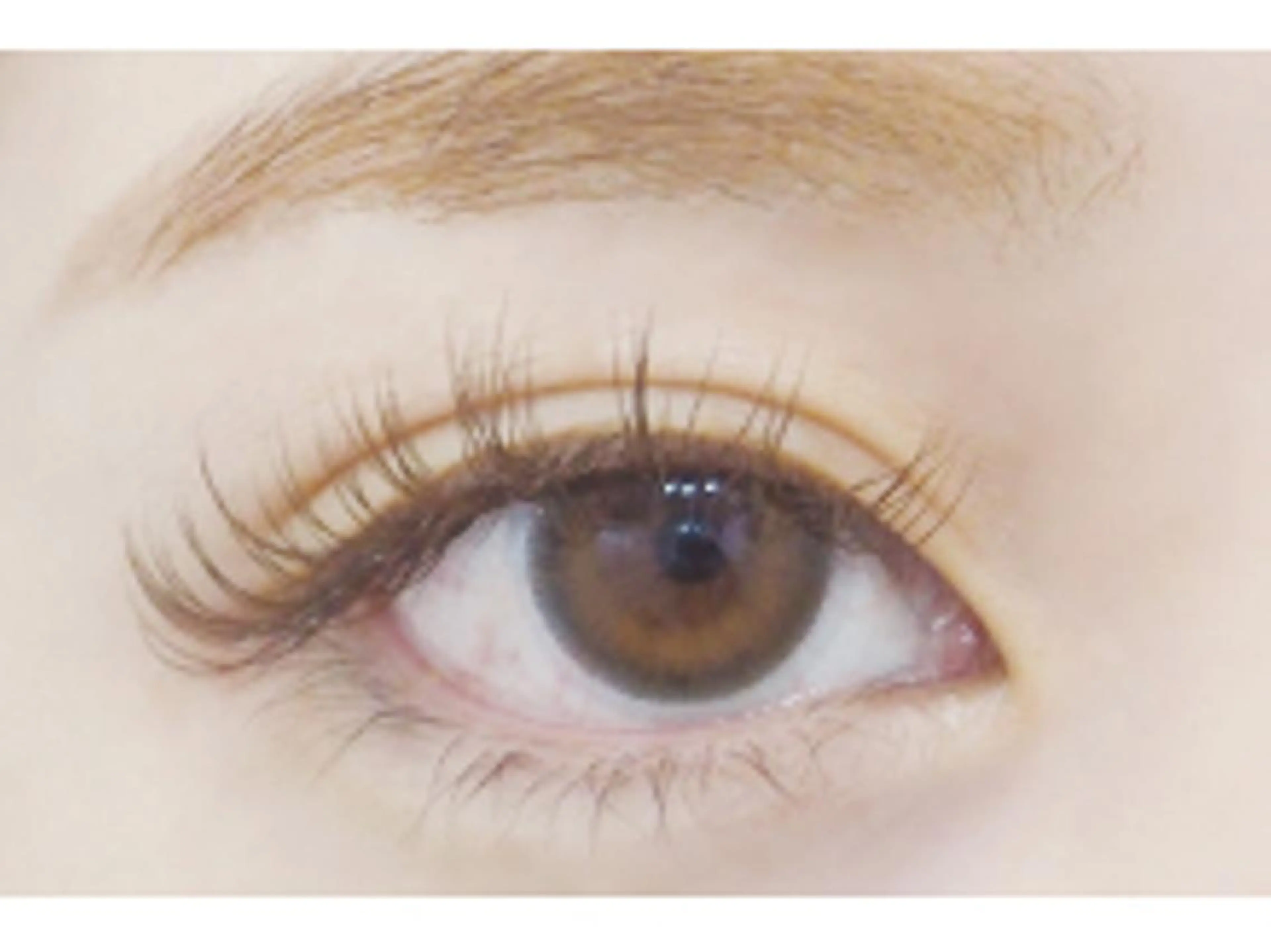 マツエク・マツパ カラーマツエク Dカール セーブル glee 川口駅前店のマツエク・マツパデザイン