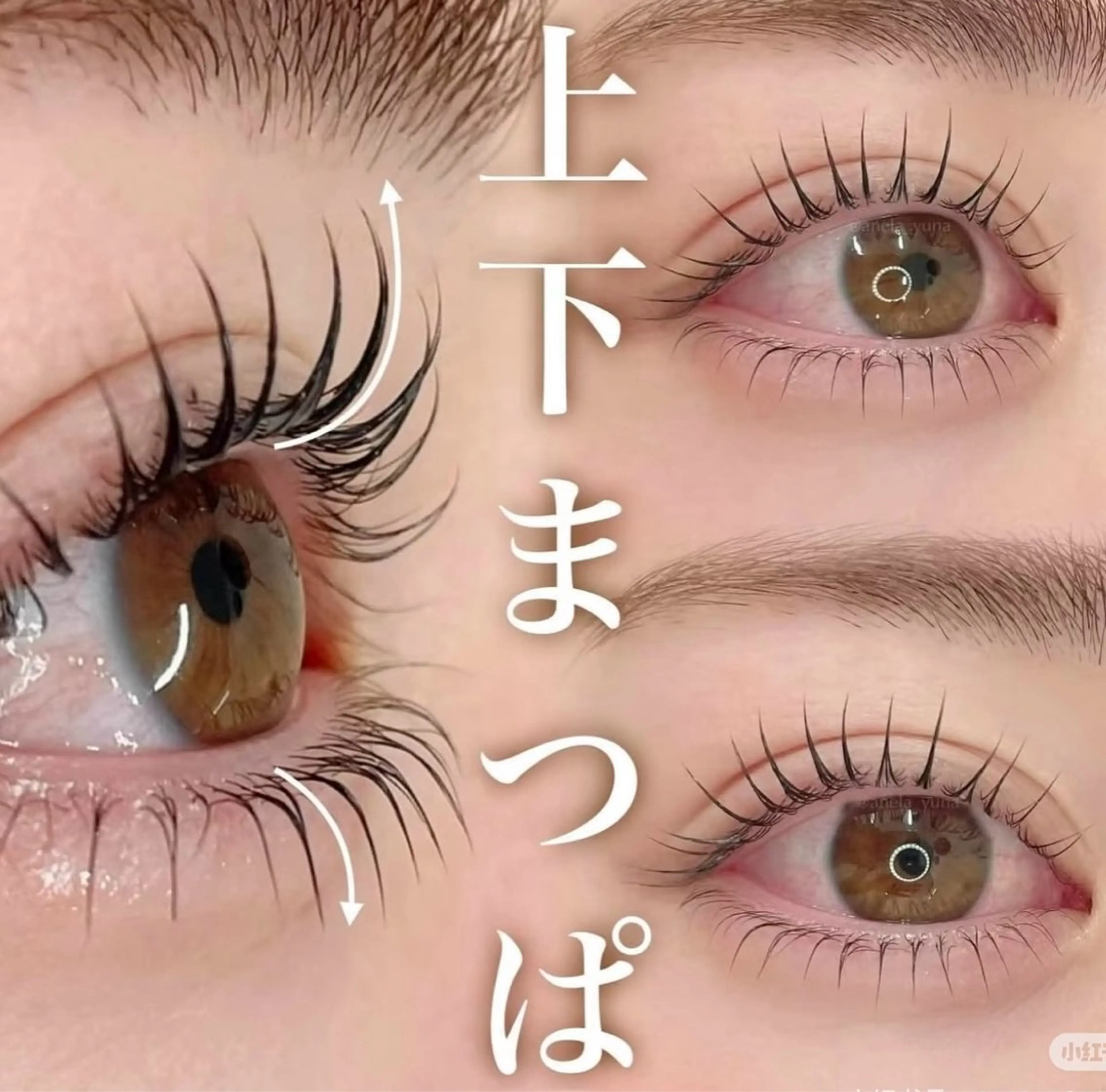 マツエク・マツパ 下まつげエクステ 一重×まつ毛パーマ マツパ narumi アイサロンの眉毛・アイブロウイメージ