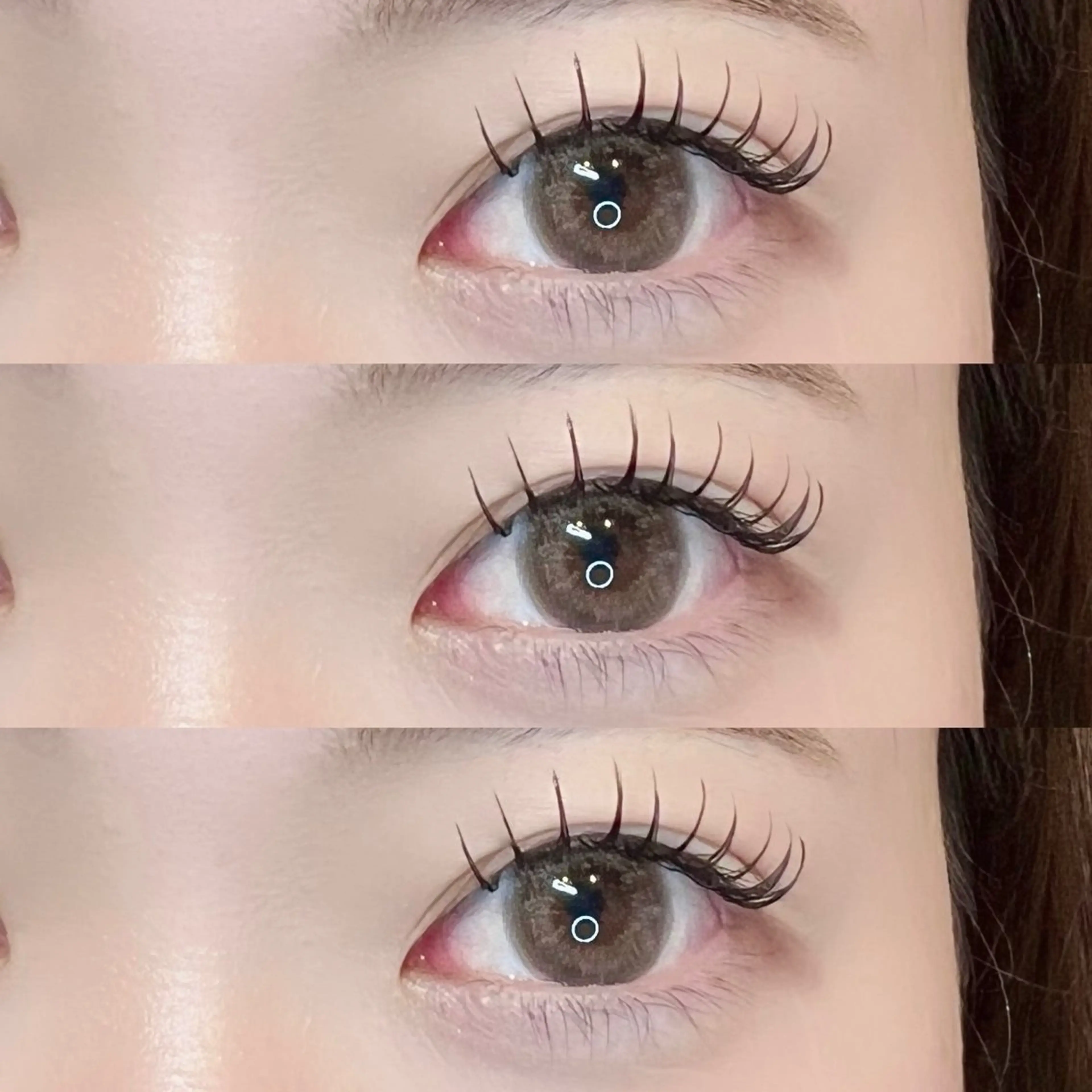 🌷フラットラッシュ120本🌷の写真