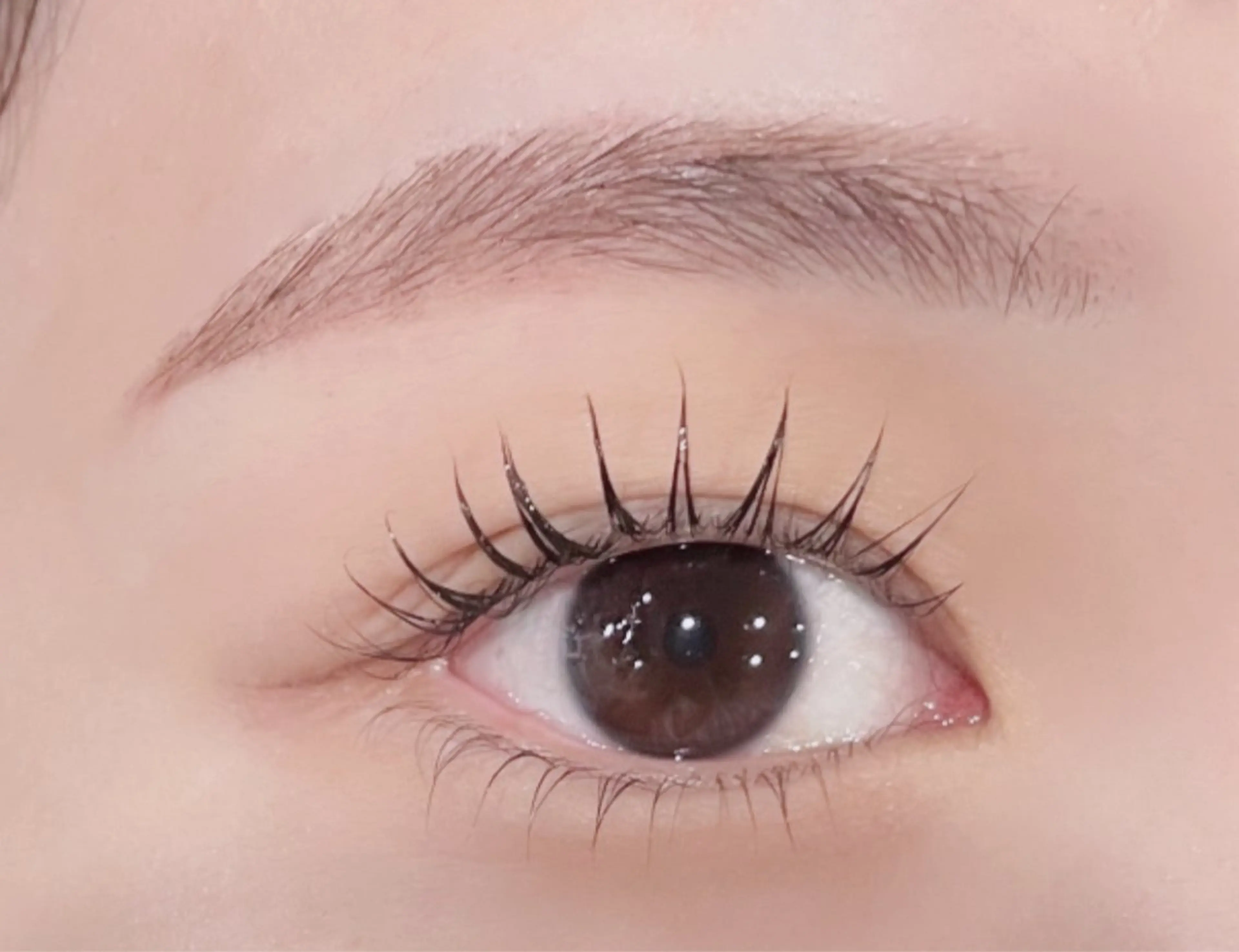 【束感◎】オーダーメイドまつ毛パーマ/コーティング仕上げ🧸🪞 (指名料330円込)の写真