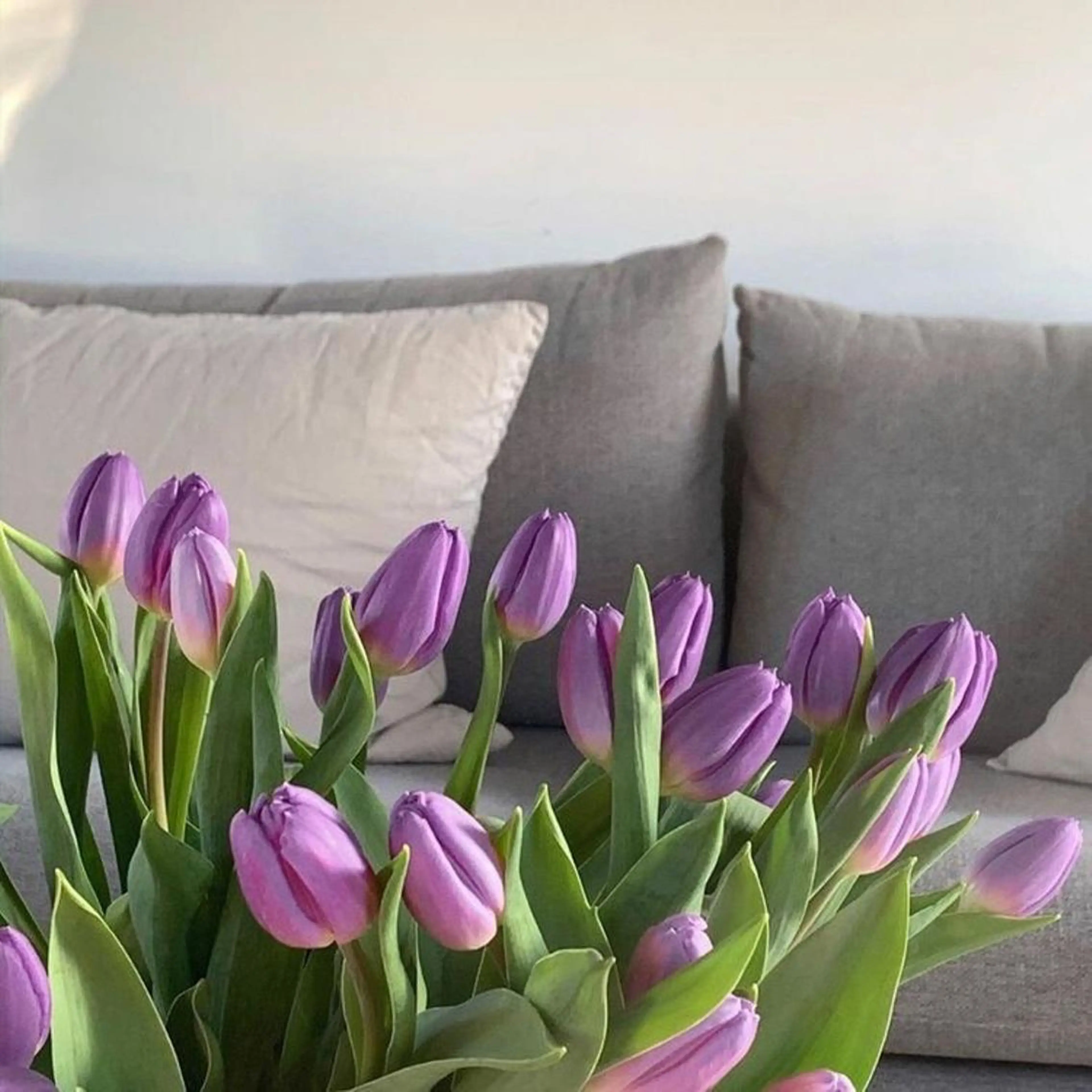 メンズ マツエク・マツパ アイブロウ マツパ GO TODAY SHAiRE SALON所属・𓂃◌𓈒𓐍 shioriのマツエク・マツパデザイン