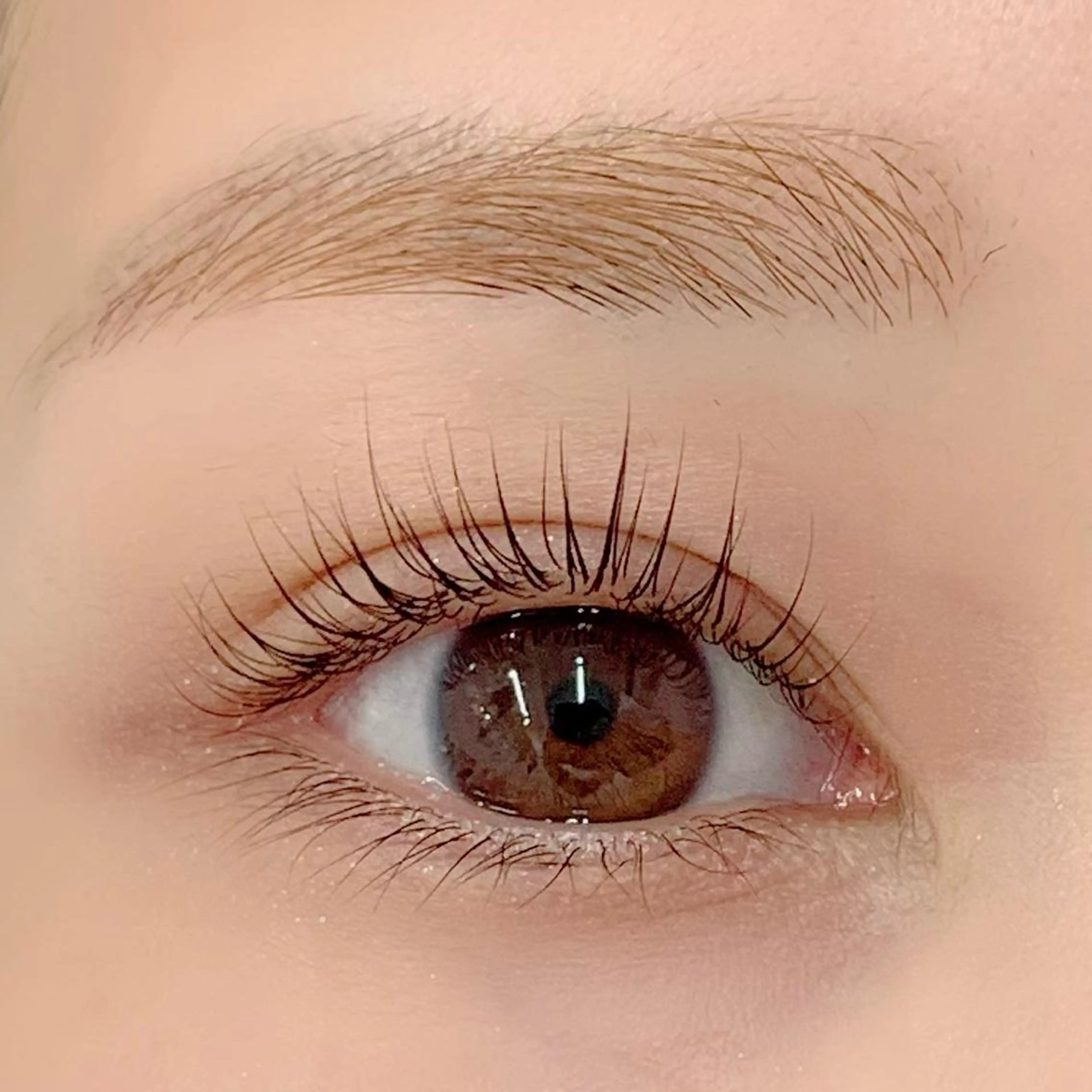 マツエク・マツパ パリジェンヌラッシュリフト BellFlower Aki（眉・まつげ）のマツエク・マツパデザイン