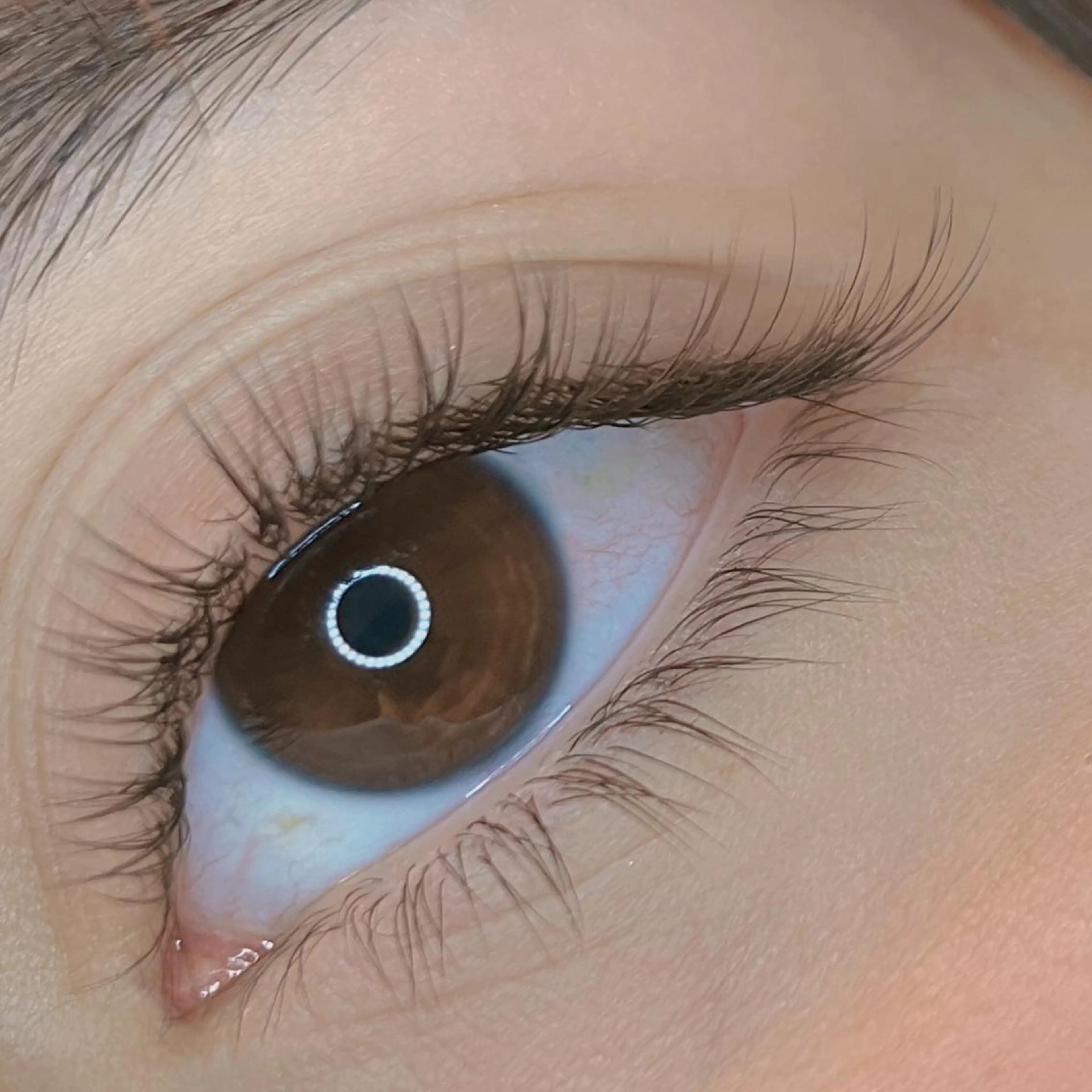 ⋆⸜フラットマットラッシュ120本 ⸝⋆　＊他店オフ無料 ＊カラー変更無料 ＊アジャストリフト無料体験◎の写真