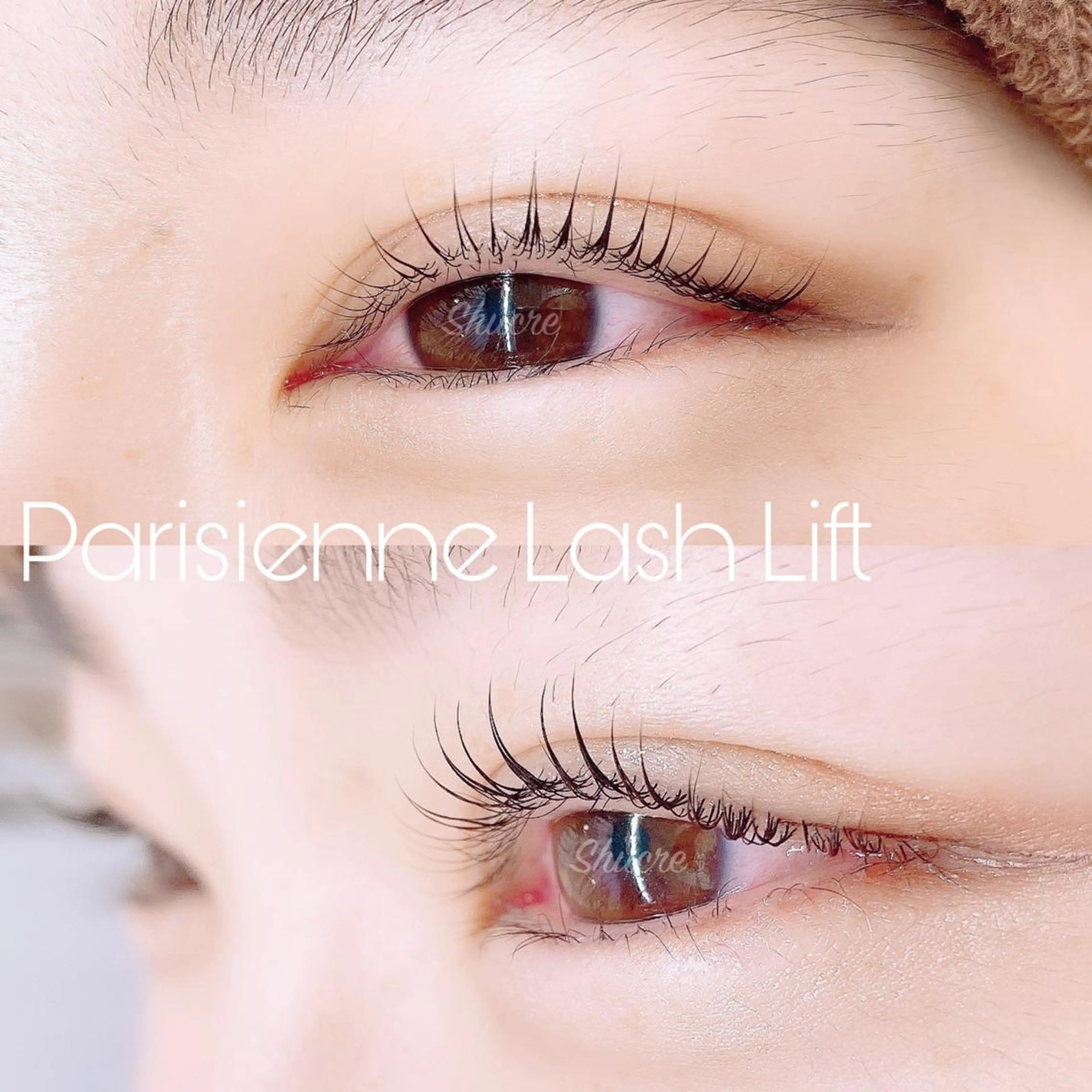 マツエク・マツパ Shucre栄店🤍 Rikaのマツエク・マツパデザイン