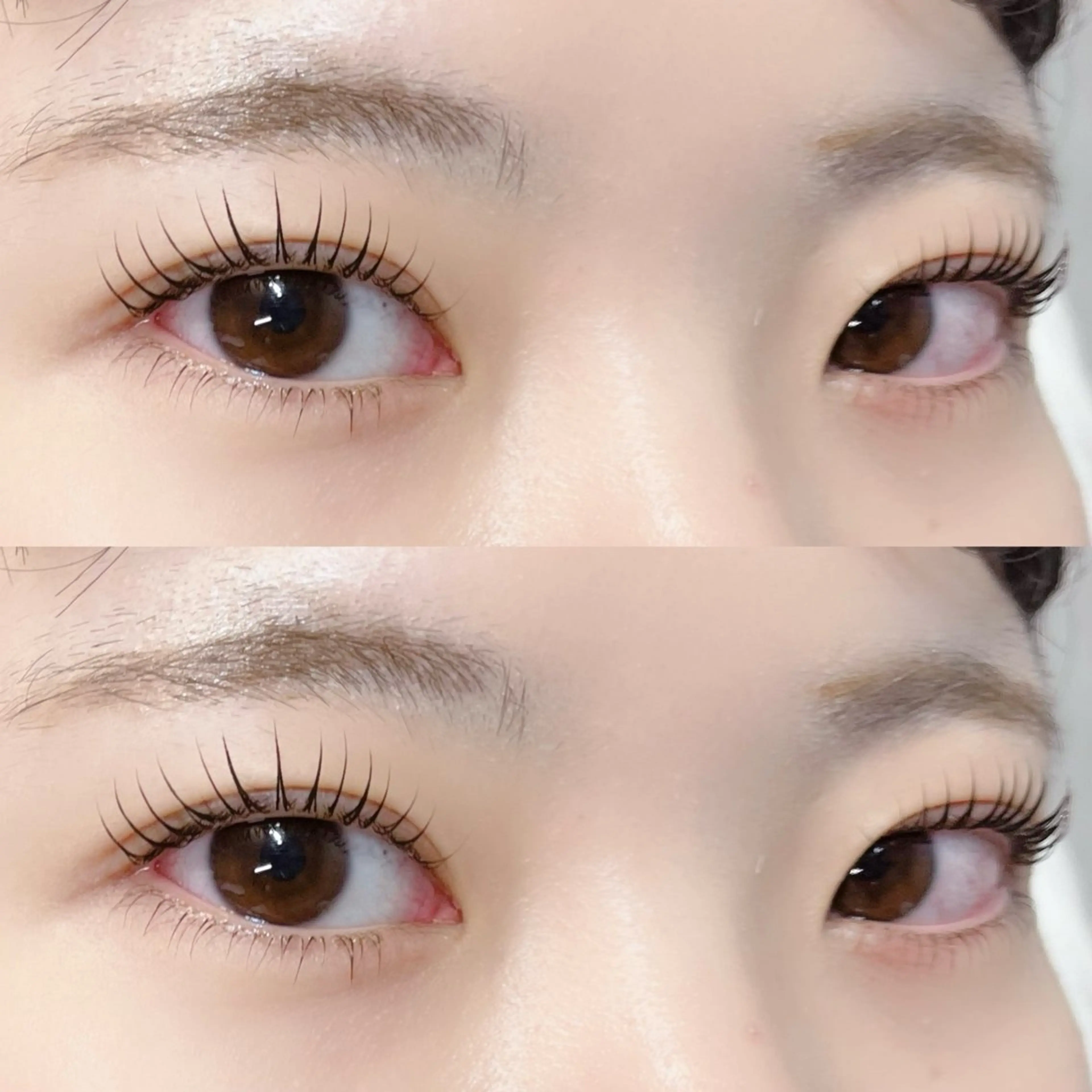 まつ毛パーマ（上下）↕️💕【アイシャンプー・ケラチントリートメント付き】束感仕上げ🪞の写真