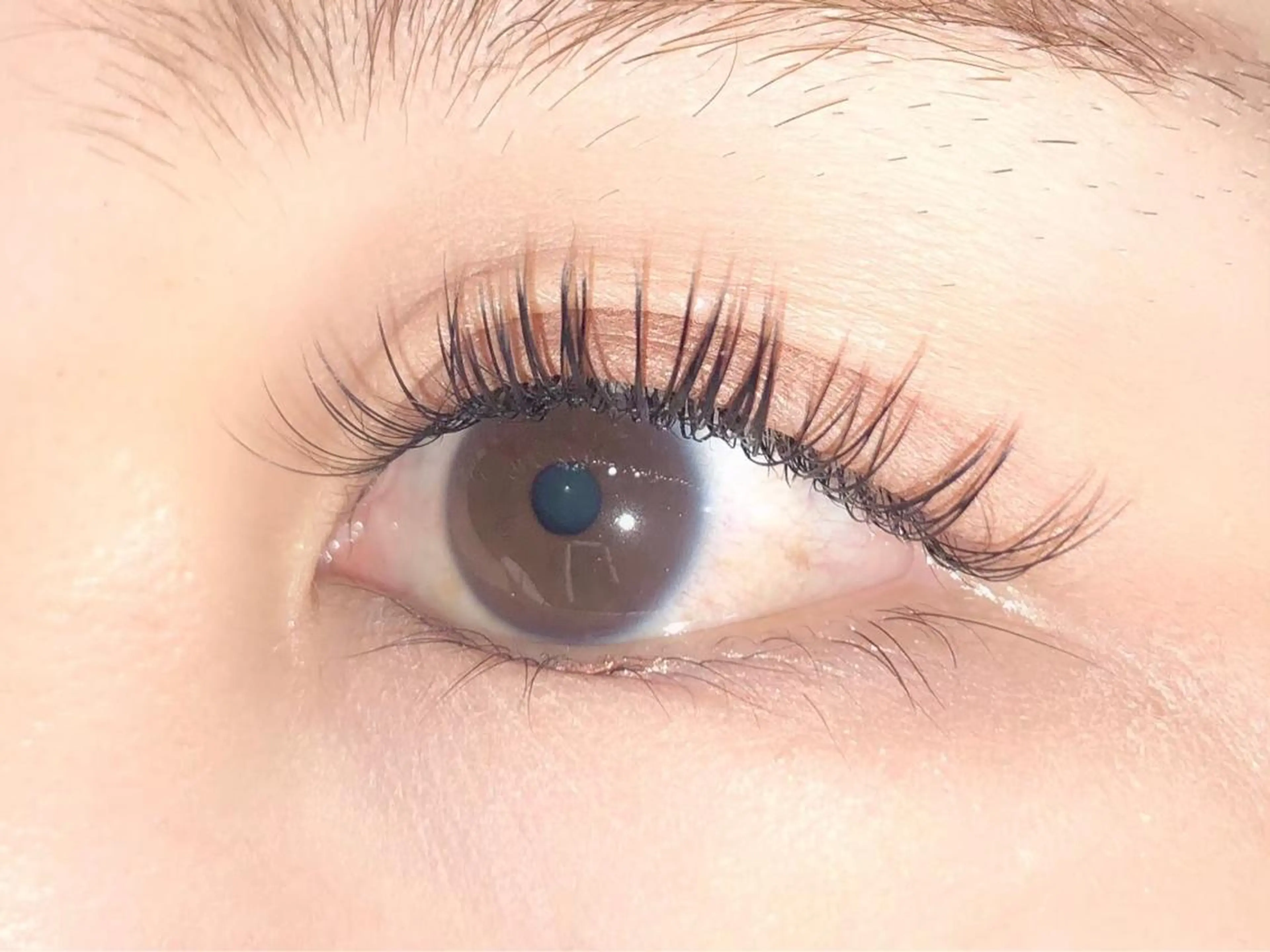 マツエク・マツパ 小関 茅里のマツエク・マツパデザイン