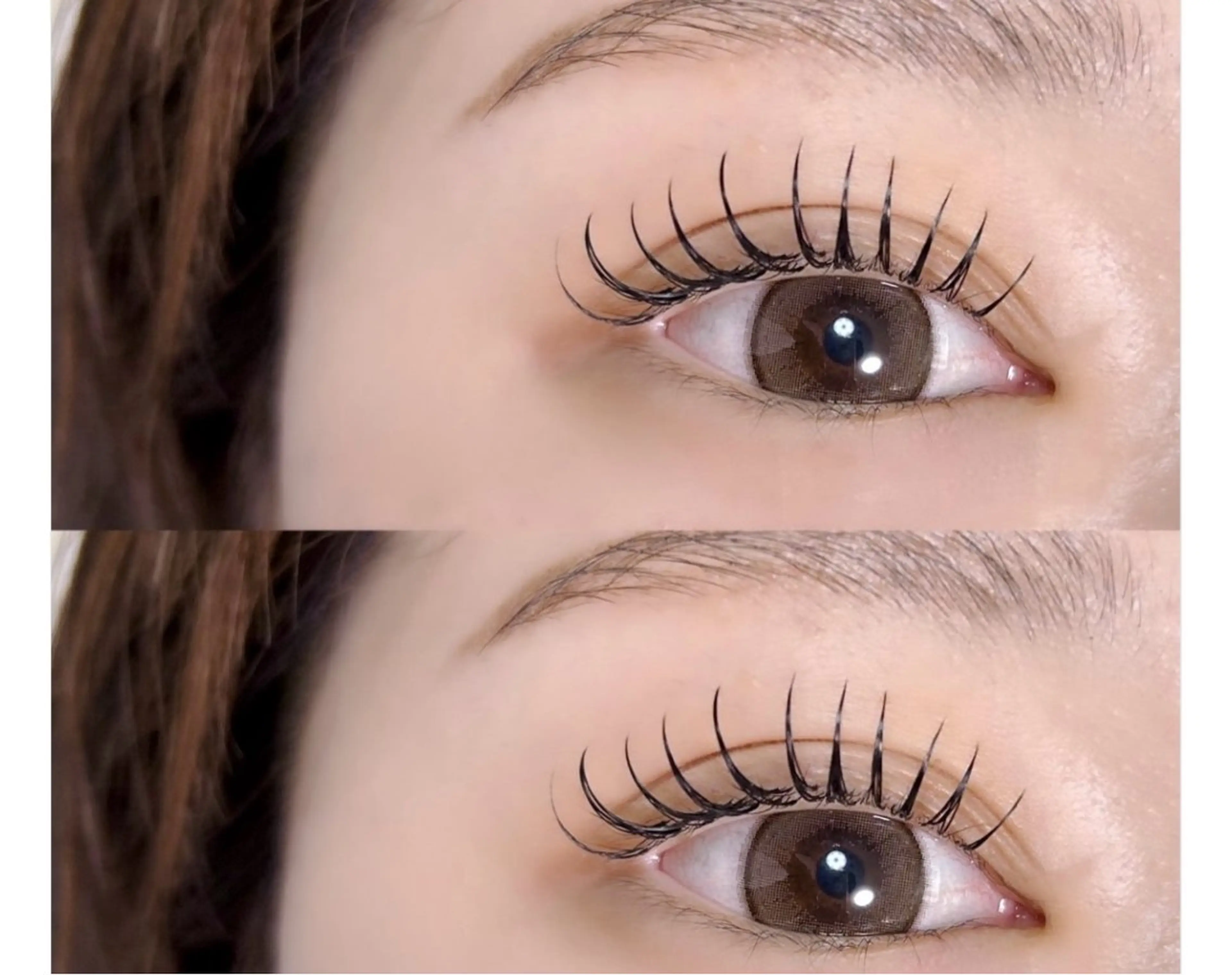 １2月予約限定価格⏰ダブルフラット60束（120本）¥3900の写真